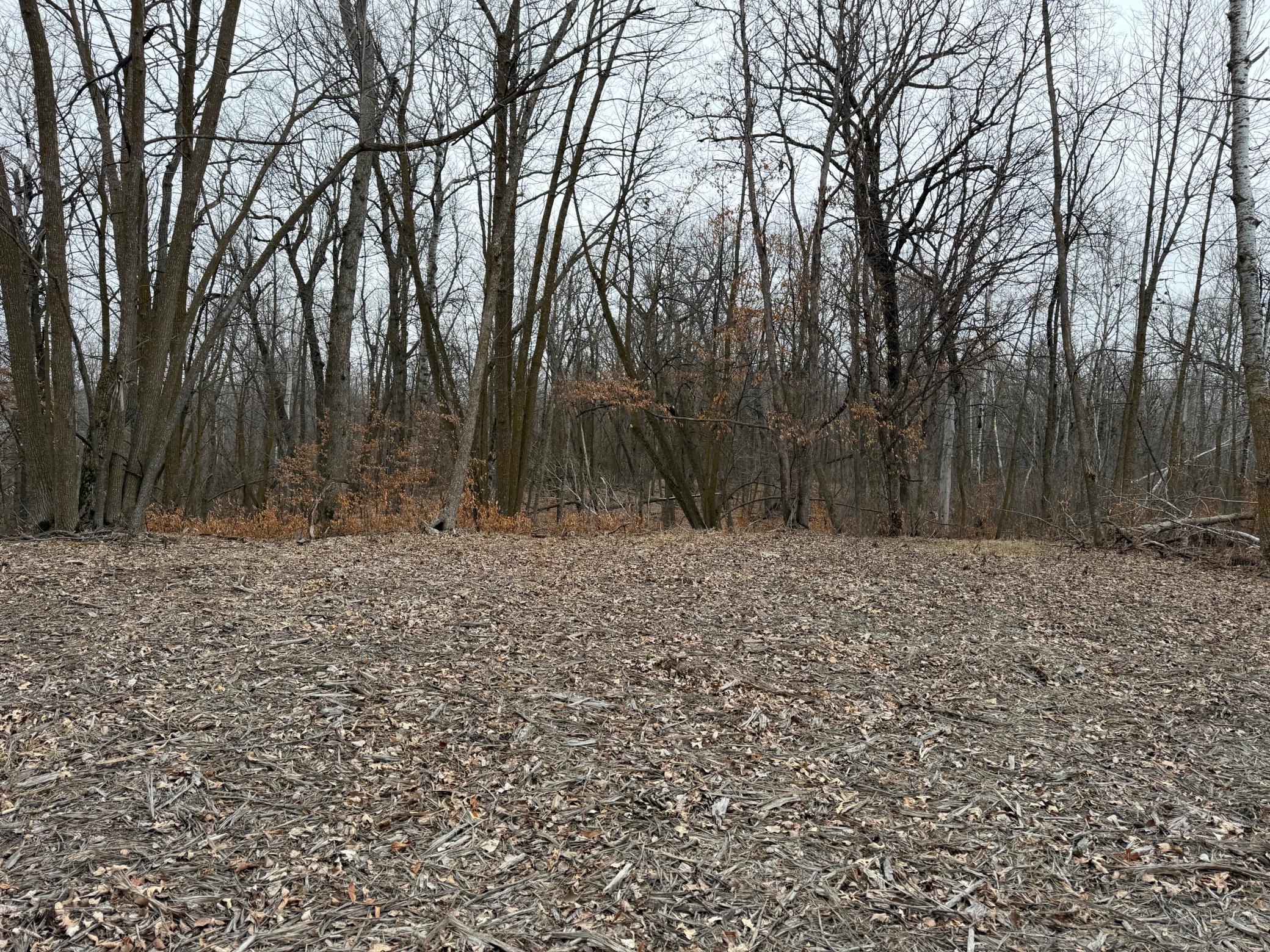 TBD 460th Street, Gonvick MN 56644 - Photo 34 of 57