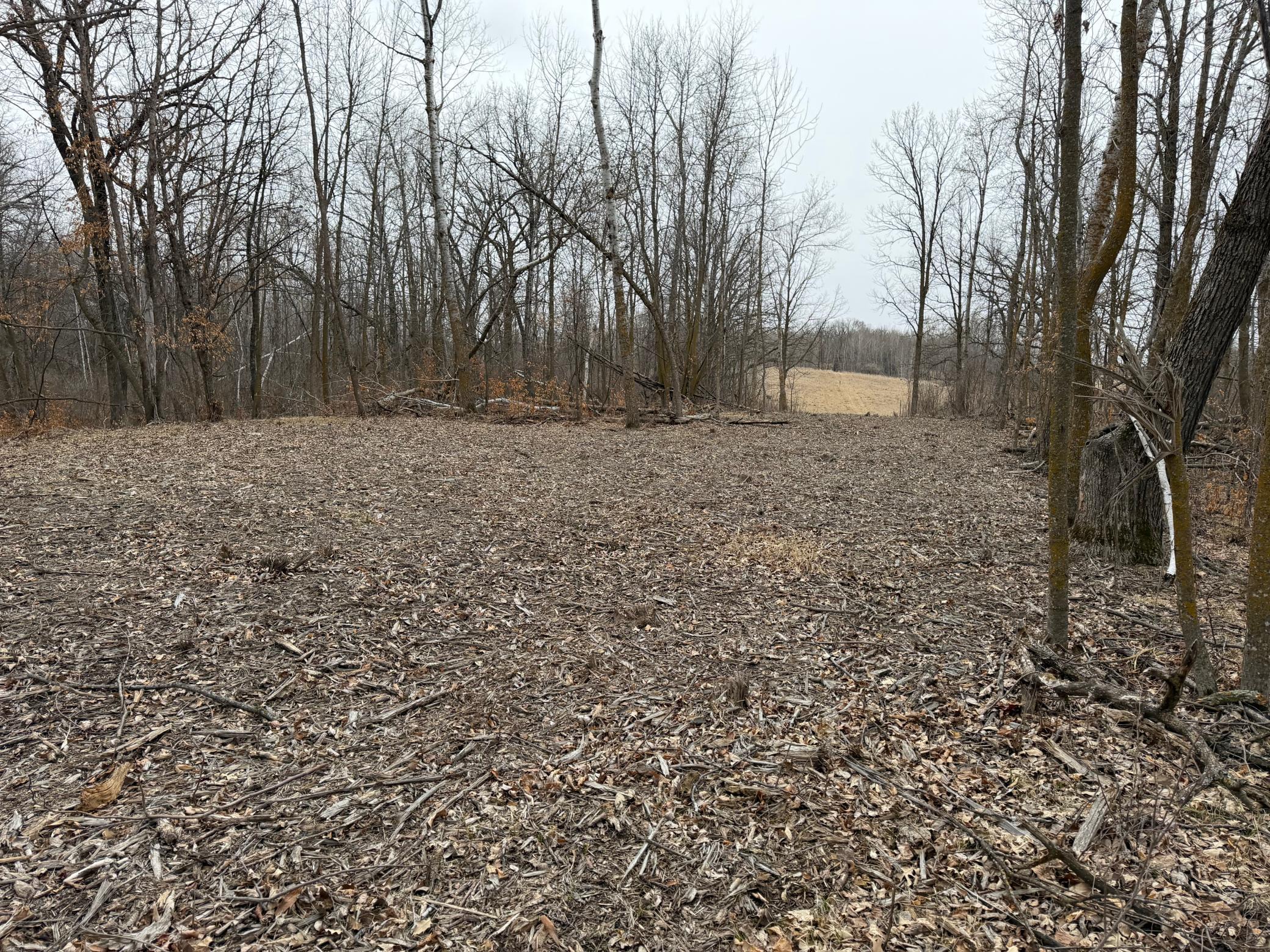 TBD 460th Street, Gonvick MN 56644 - Photo 35 of 57