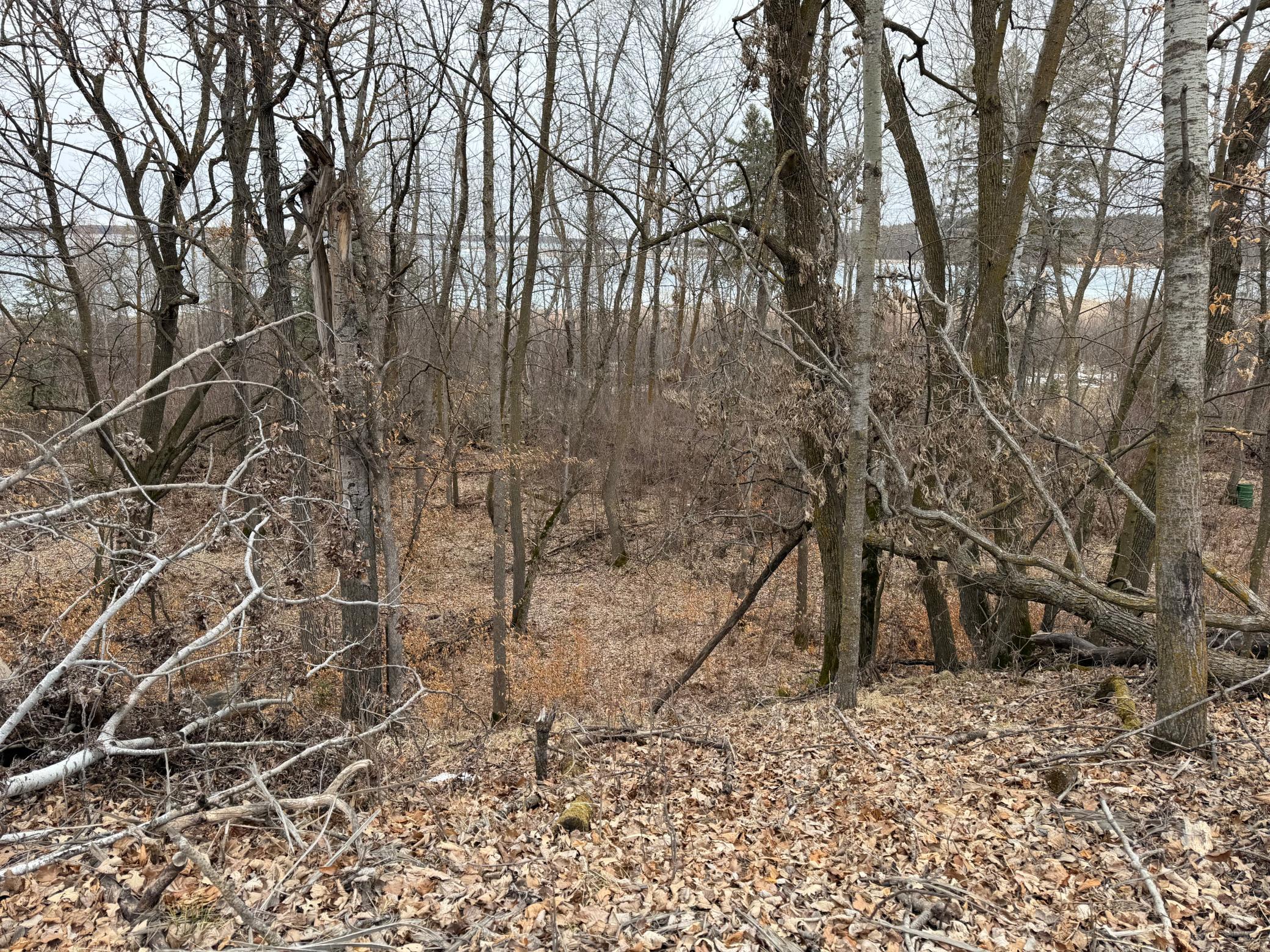 TBD 460th Street, Gonvick MN 56644 - Photo 36 of 57