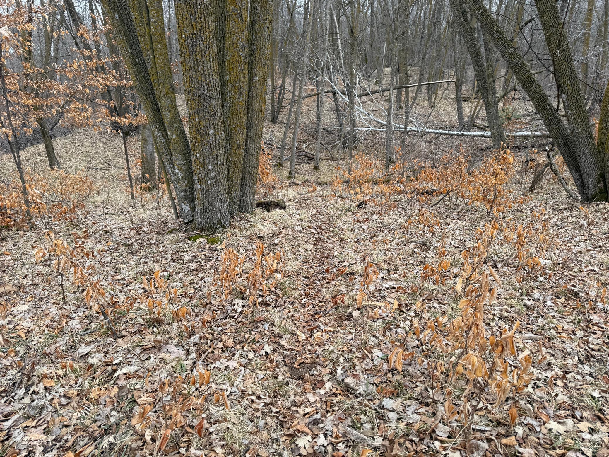 TBD 460th Street, Gonvick MN 56644 - Photo 38 of 57