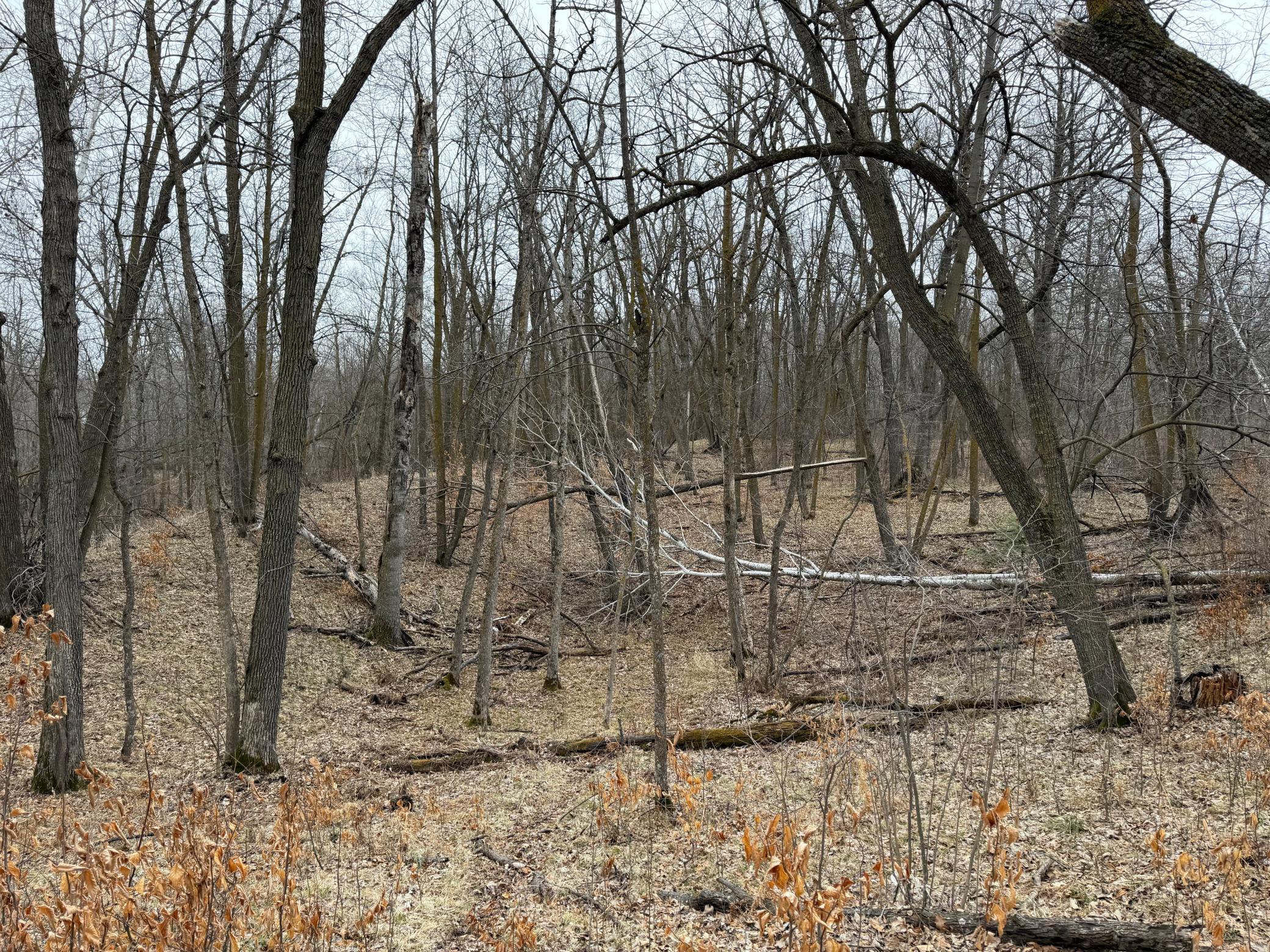 TBD 460th Street, Gonvick MN 56644 - Photo 39 of 57