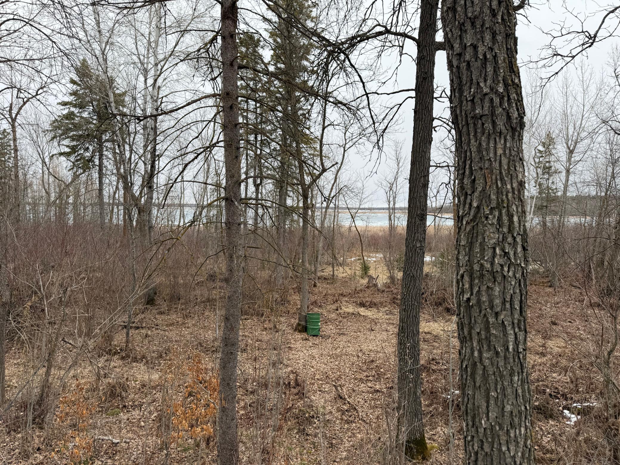 TBD 460th Street, Gonvick MN 56644 - Photo 40 of 57