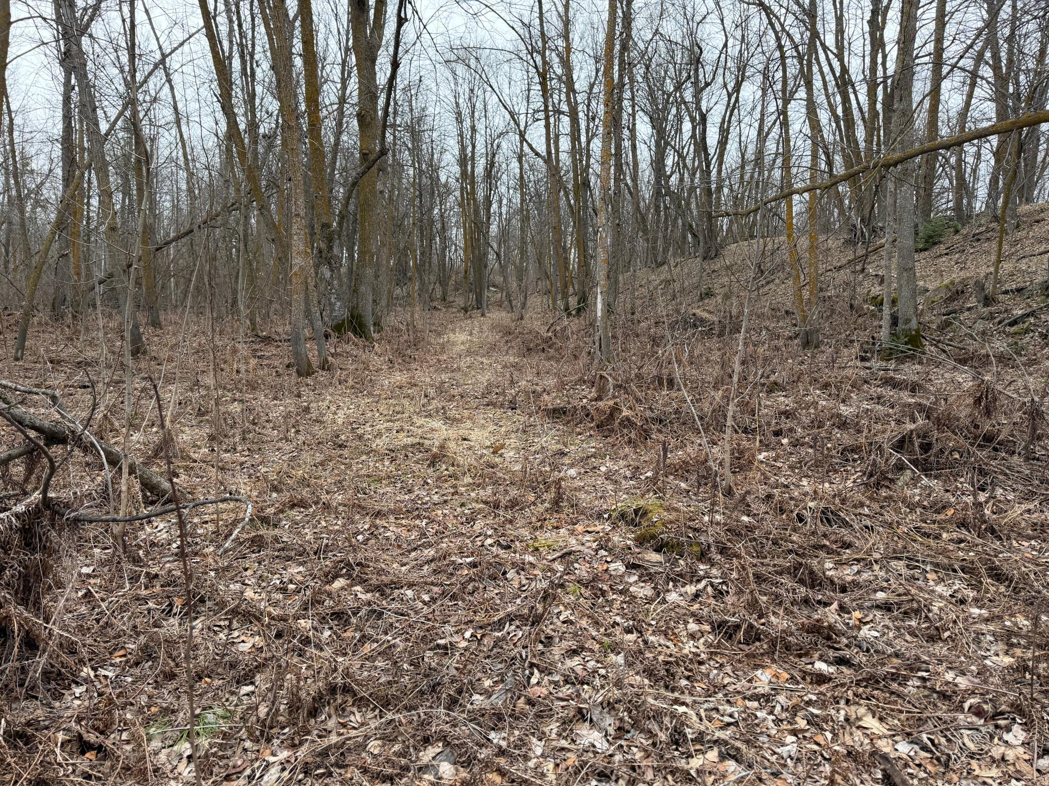 TBD 460th Street, Gonvick MN 56644 - Photo 45 of 57