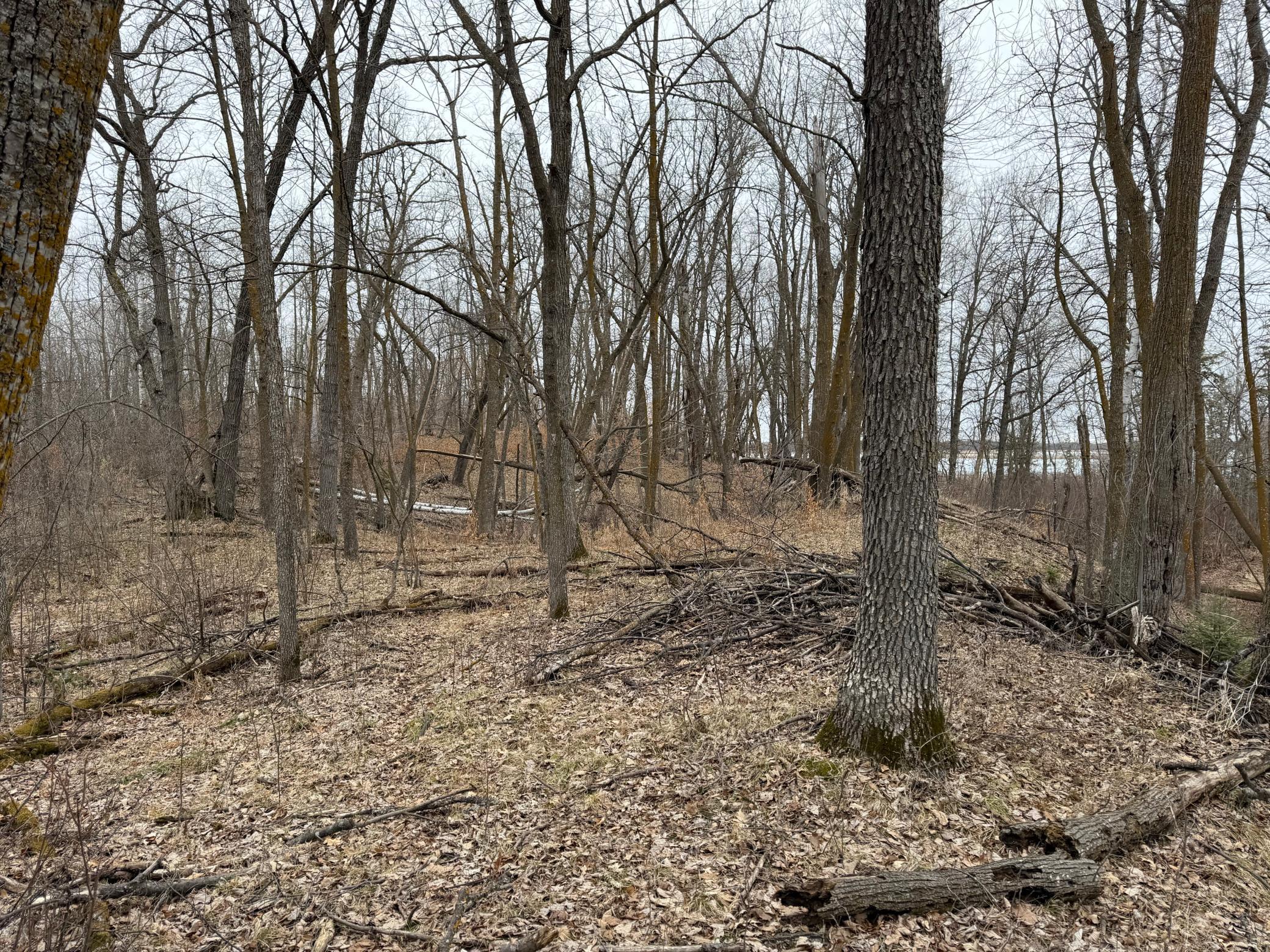 TBD 460th Street, Gonvick MN 56644 - Photo 49 of 57