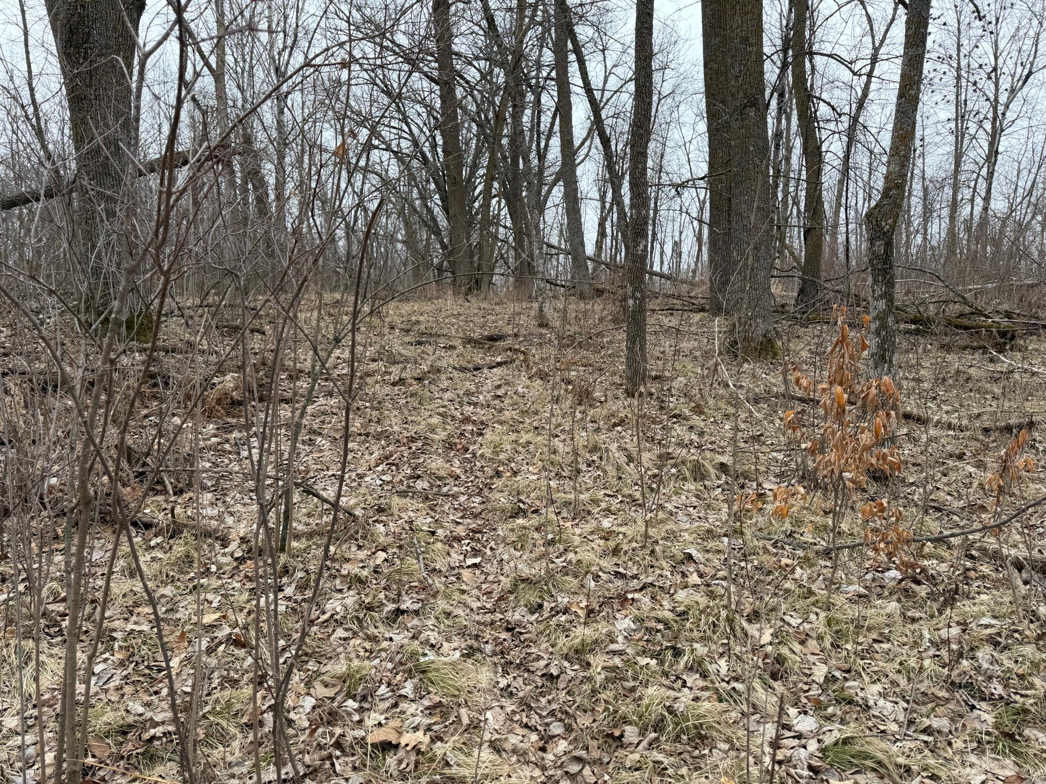TBD 460th Street, Gonvick MN 56644 - Photo 50 of 57
