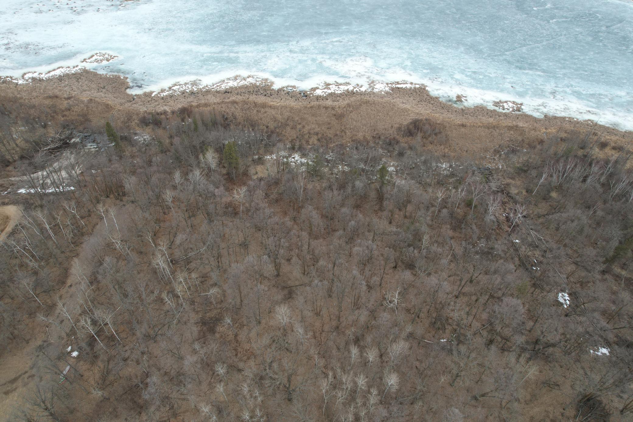 TBD 460th Street, Gonvick MN 56644 - Photo 6 of 57