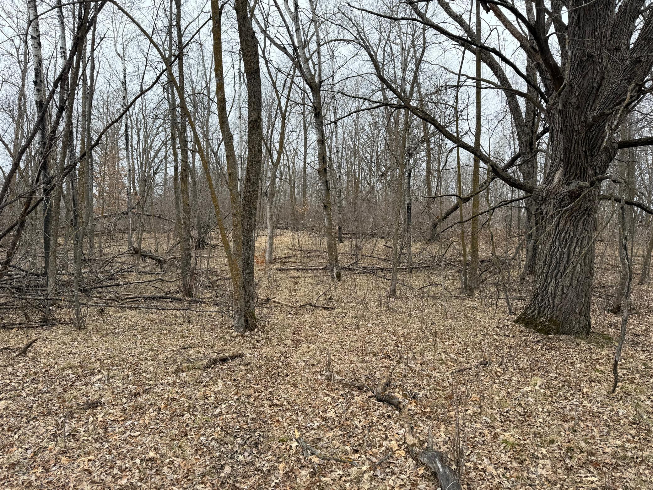 TBD 460th Street, Gonvick MN 56644 - Photo 52 of 57