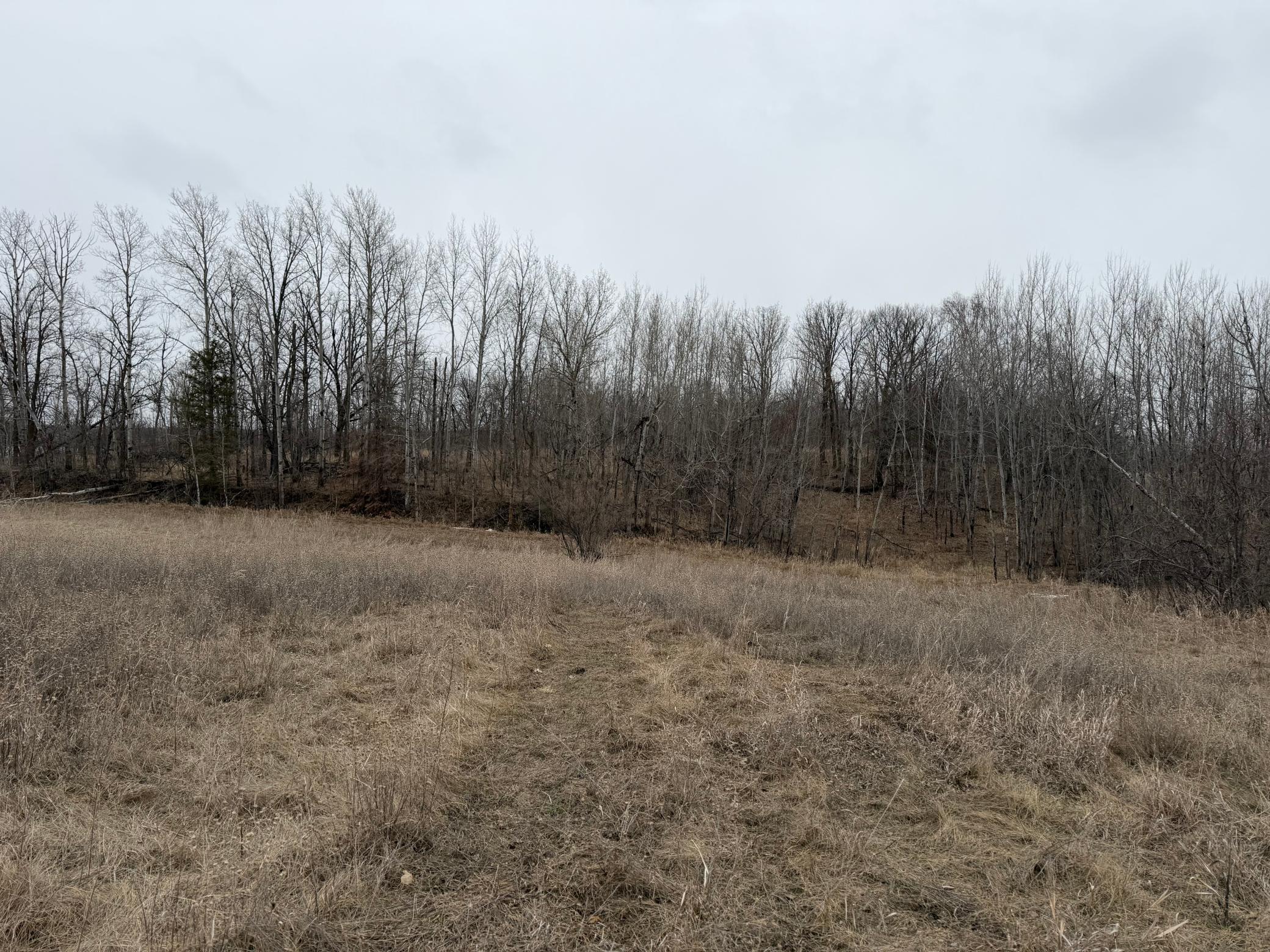 TBD 460th Street, Gonvick MN 56644 - Photo 53 of 57