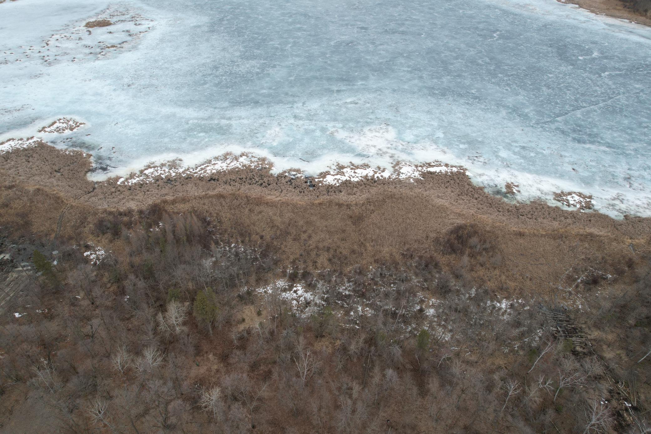 TBD 460th Street, Gonvick MN 56644 - Photo 7 of 57