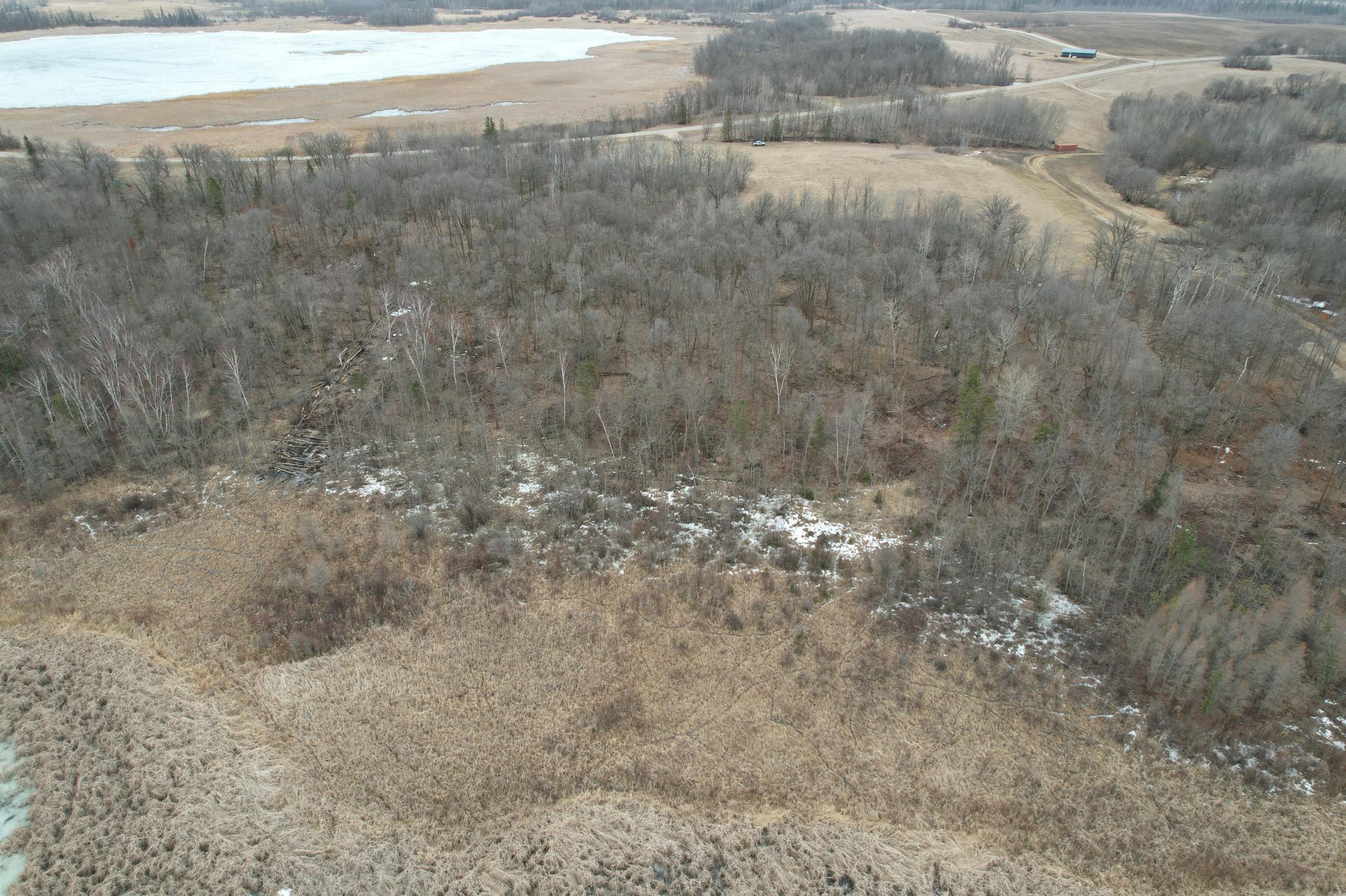 TBD 460th Street, Gonvick MN 56644 - Photo 9 of 57