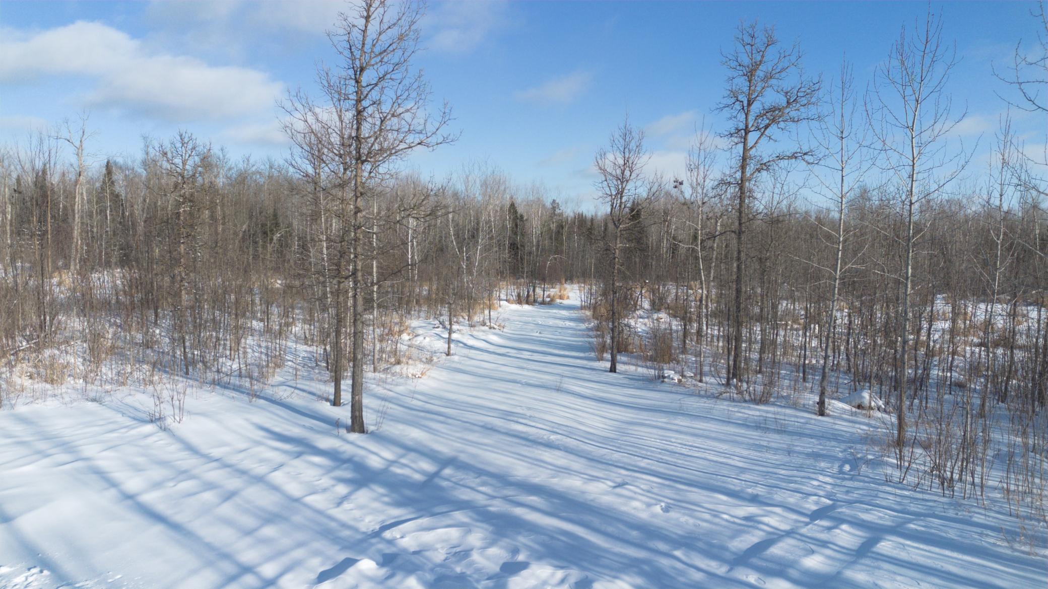 36466 Juniper Road, Deer River MN 56636 - Photo 8 of 10