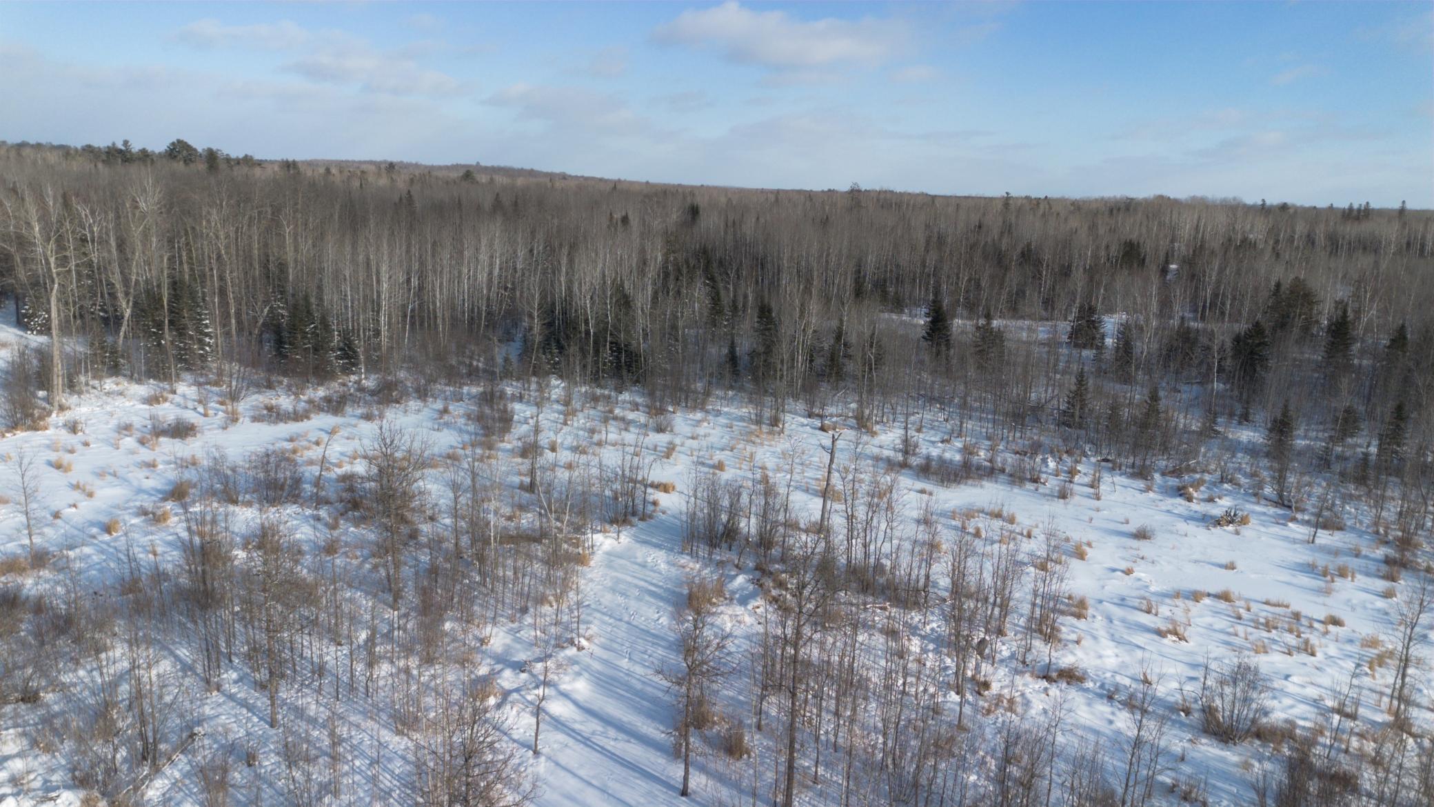 36466 Juniper Road, Deer River MN 56636 - Photo 9 of 10