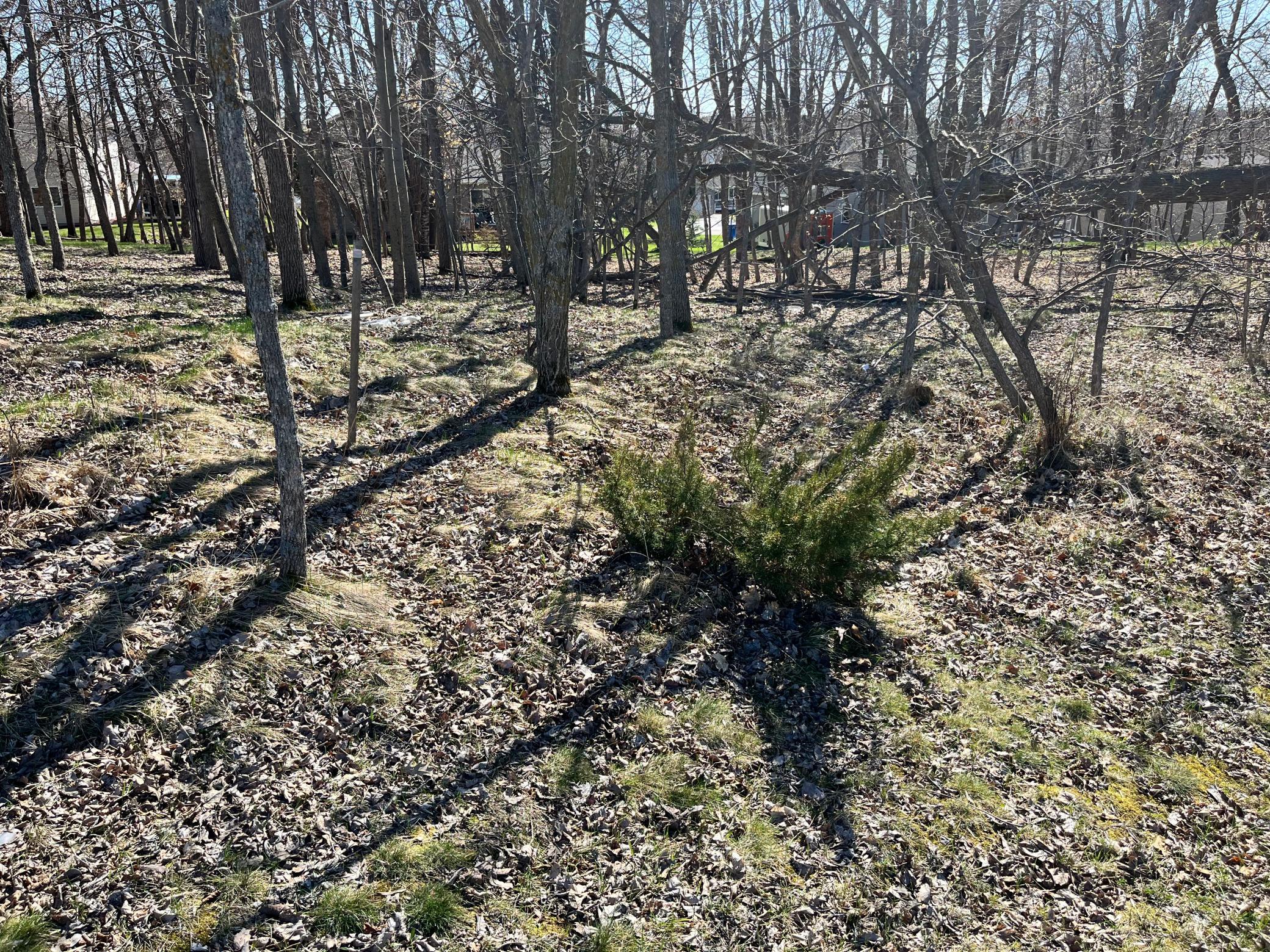 land for sale at 1127 Doris Kohler Circle in Detroit Lakes, MN (photo 2 of 4)