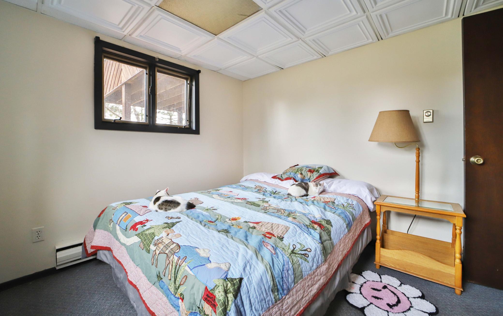 1978 single family home for sale at 412 Second Street S in Pine River, MN — 4 bed, 2 bath (photo 30 of 67)