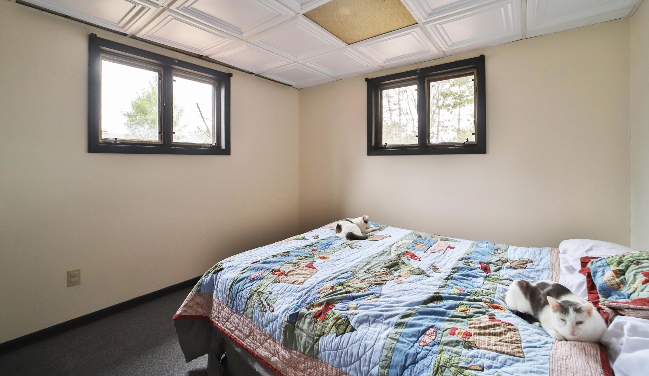1978 single family home for sale at 412 Second Street S in Pine River, MN — 4 bed, 2 bath (photo 32 of 67)