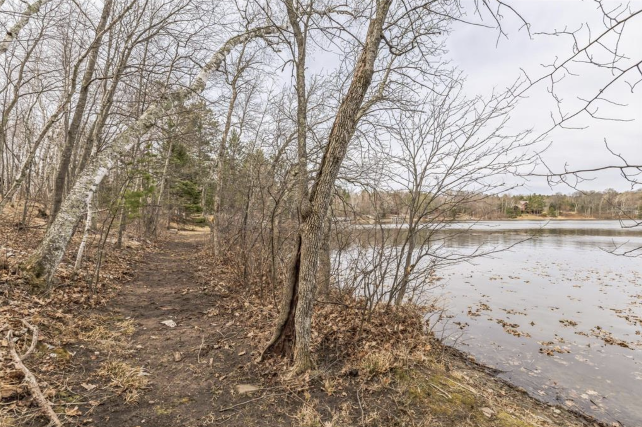 TBD Birch Bay Lane NE, Outing MN 56662 - Photo 2 of 8
