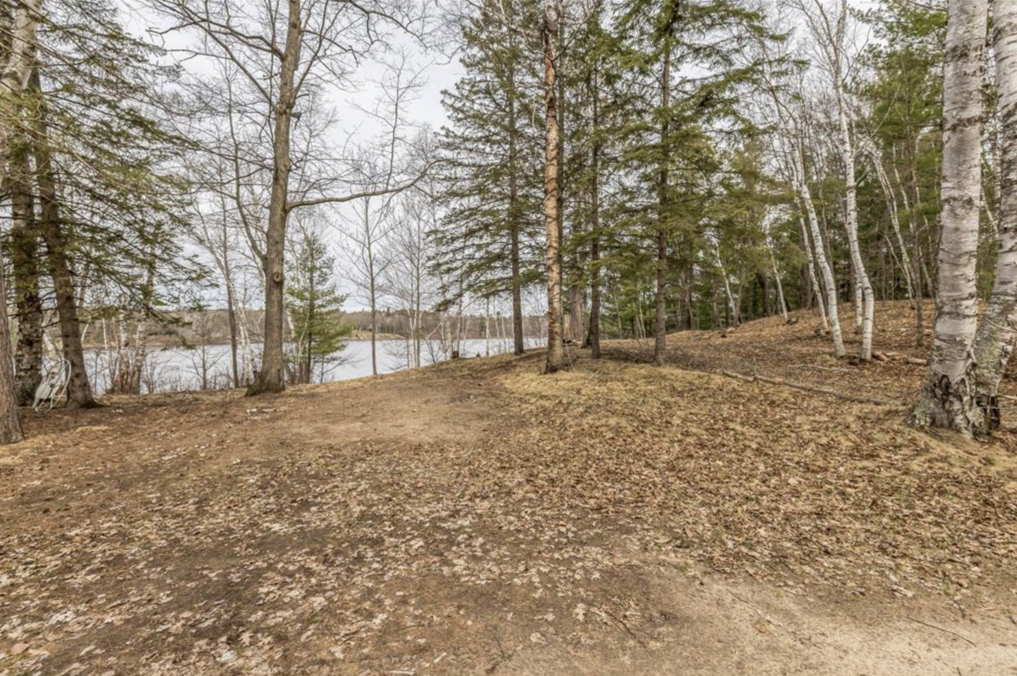 TBD Birch Bay Lane NE, Outing MN 56662 - Photo 5 of 8