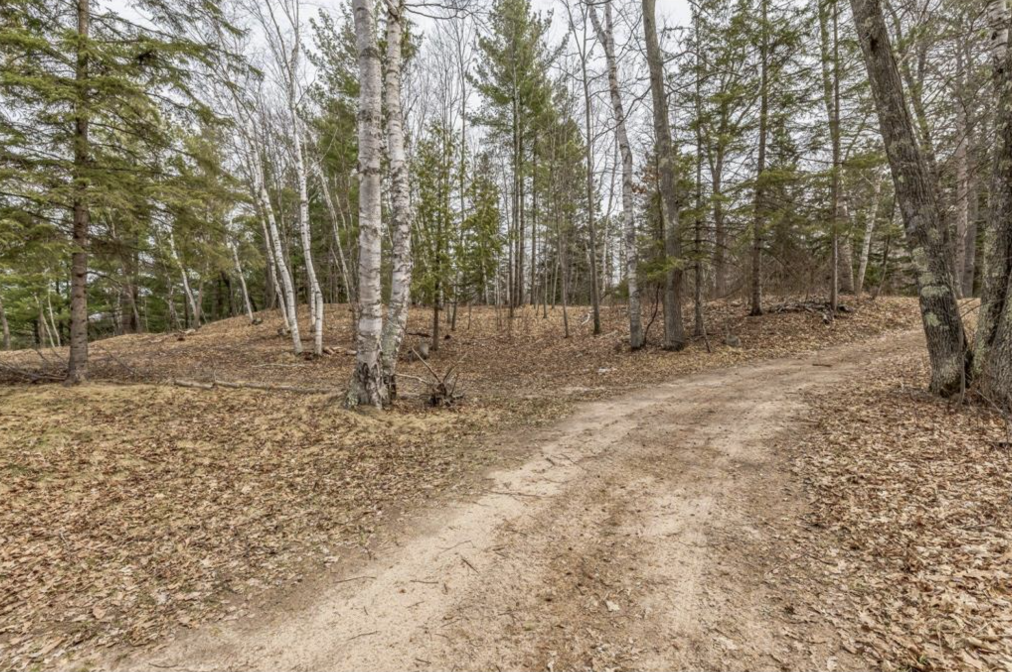 TBD Birch Bay Lane NE, Outing MN 56662 - Photo 6 of 8