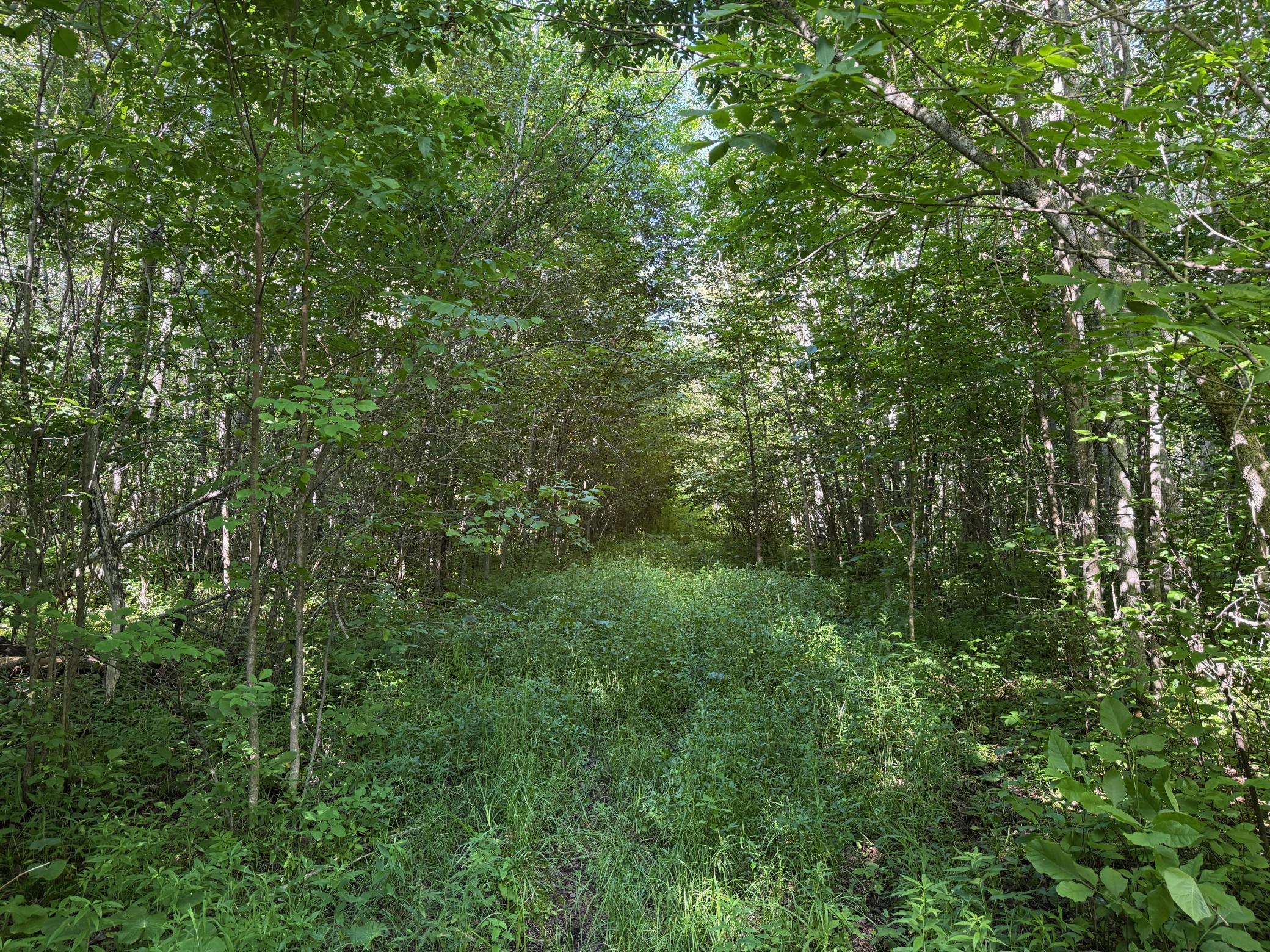 land for sale at 40a Bridgie Road in Northome, MN