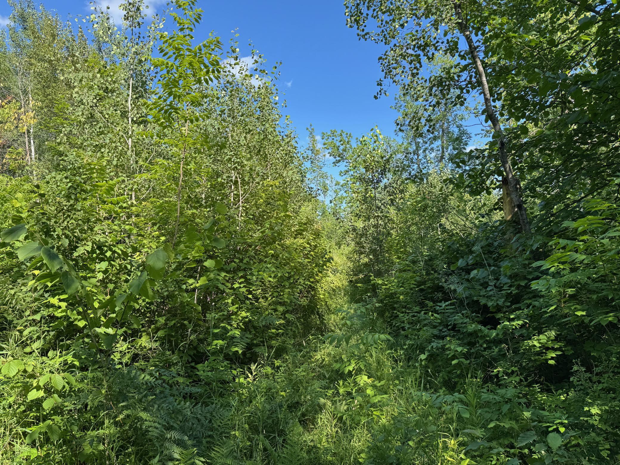 land for sale at 40a Bridgie Road in Northome, MN (photo 2 of 7)