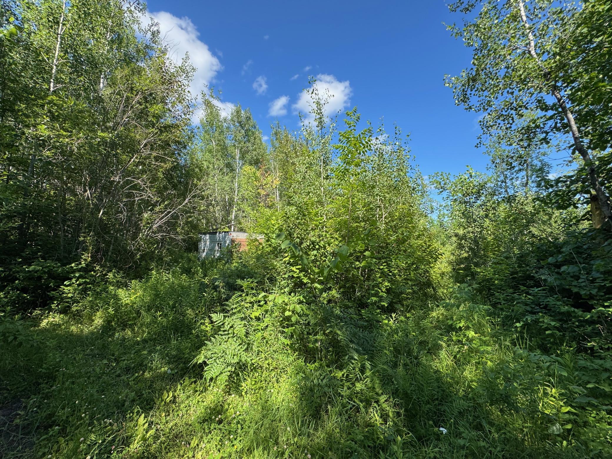 land for sale at 40a Bridgie Road in Northome, MN (photo 3 of 7)