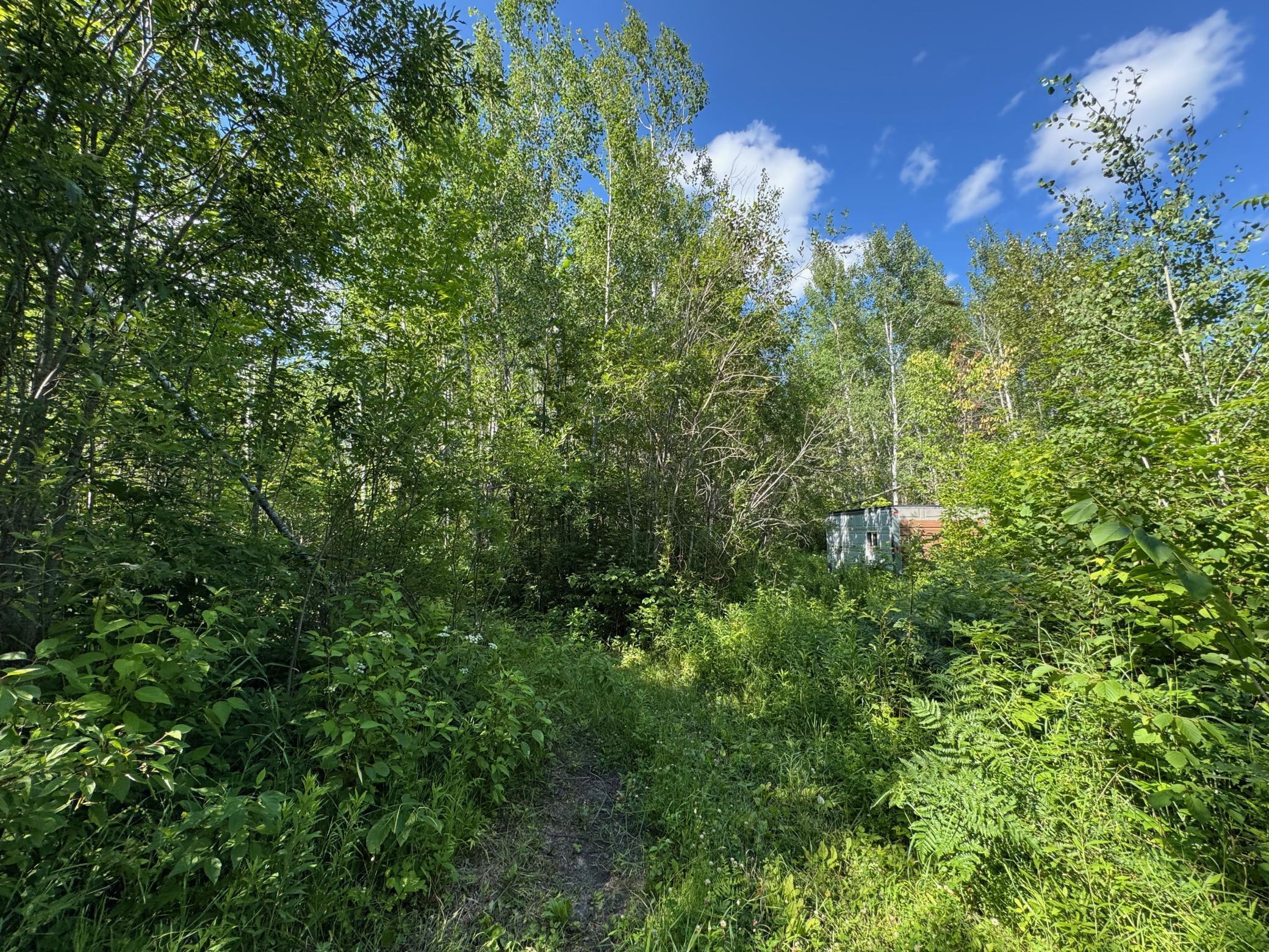 land for sale at 40a Bridgie Road in Northome, MN (photo 4 of 7)