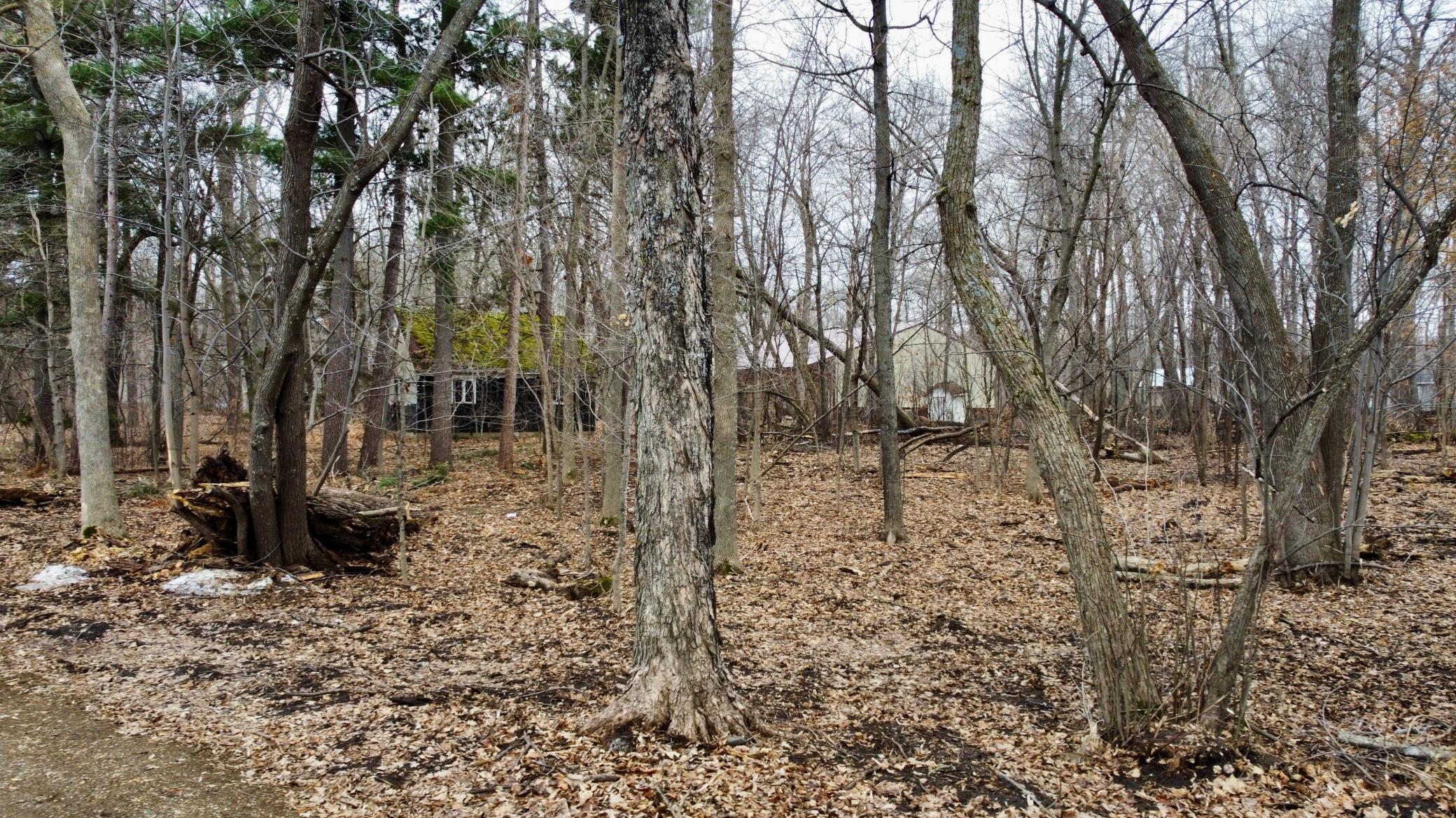 2018 land for sale at TRACT B Linden Street in Garrison, MN (photo 21 of 22)