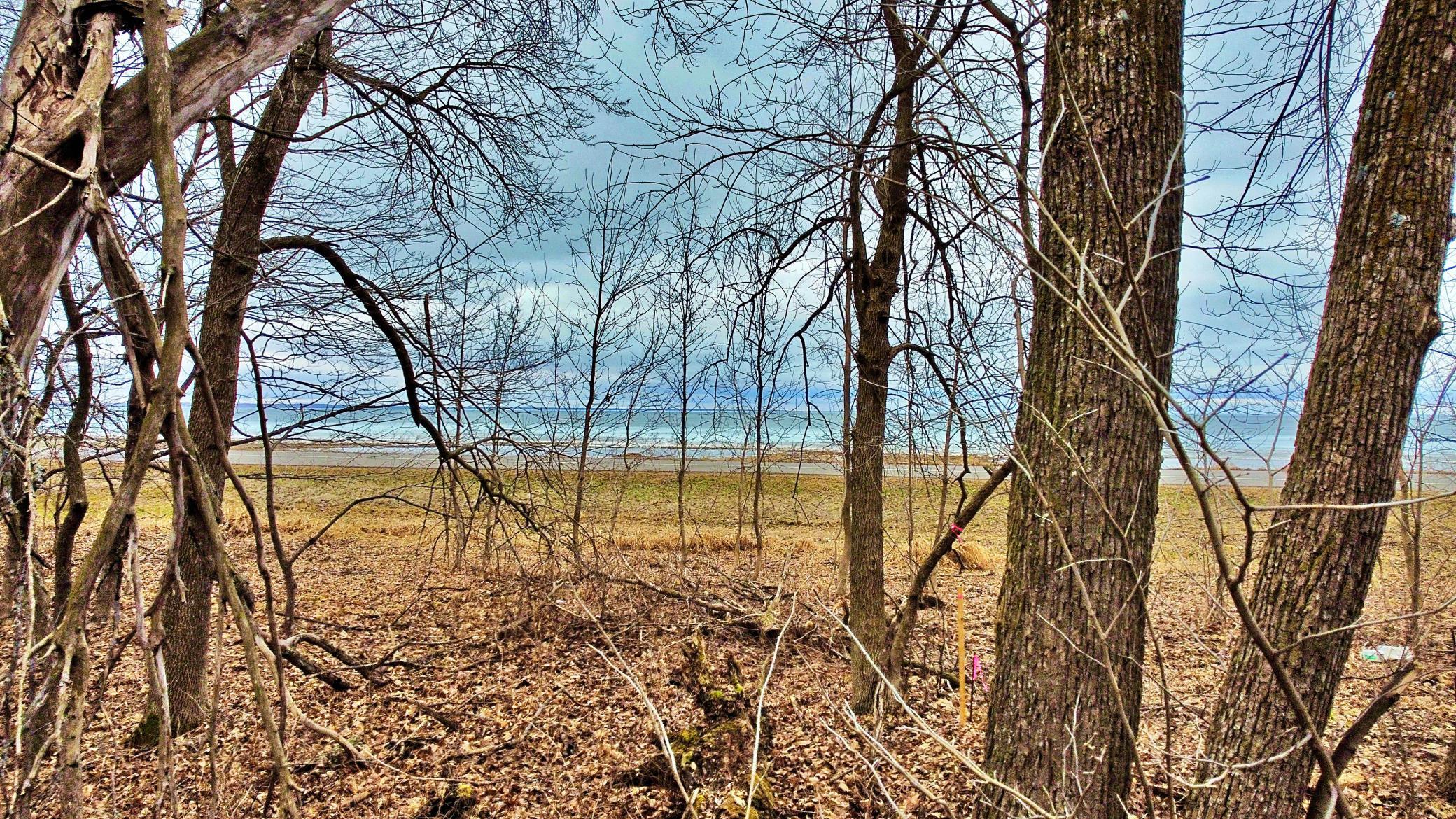 land for sale at TRACT C Linden Street in Garrison, MN (photo 17 of 20)
