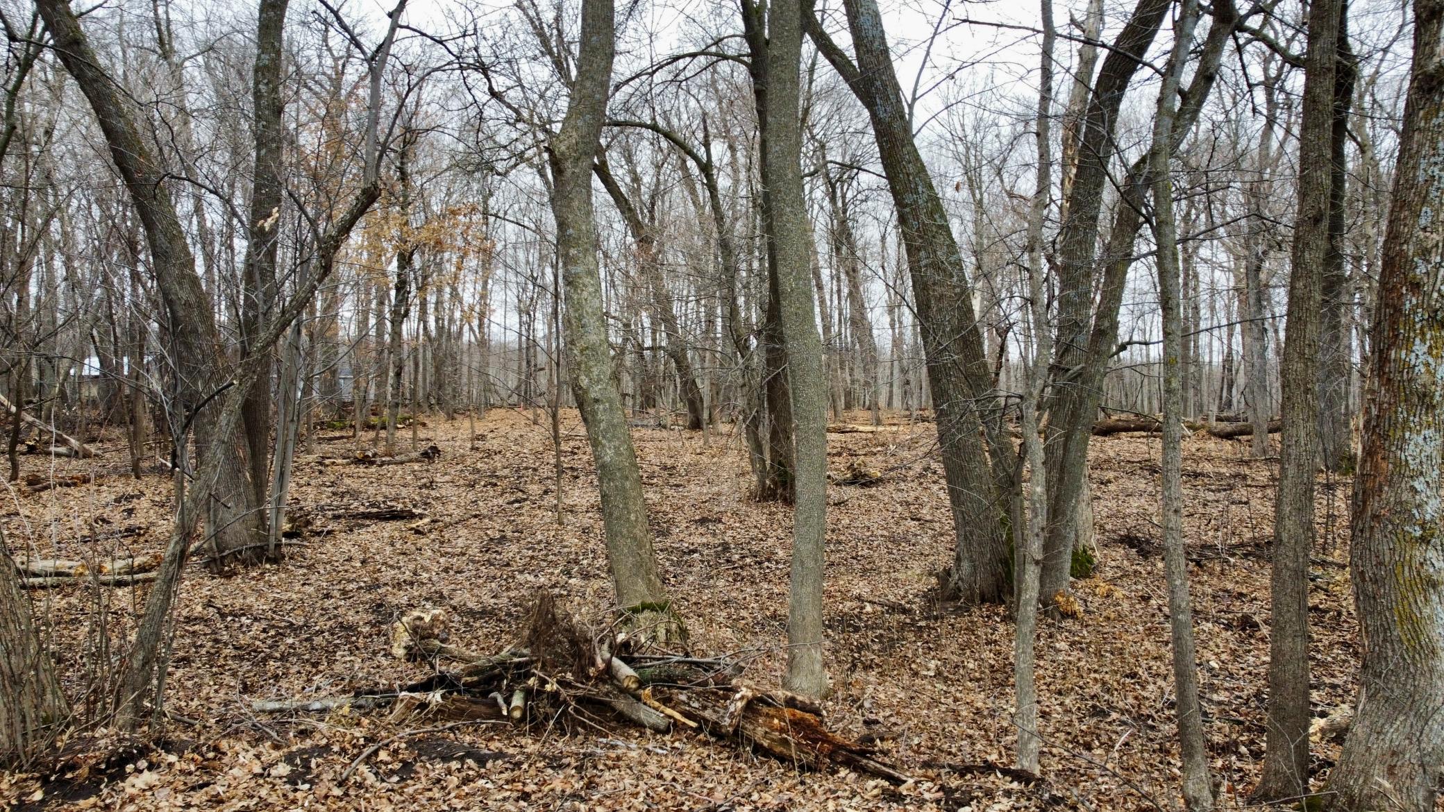 land for sale at TRACT C Linden Street in Garrison, MN (photo 18 of 20)