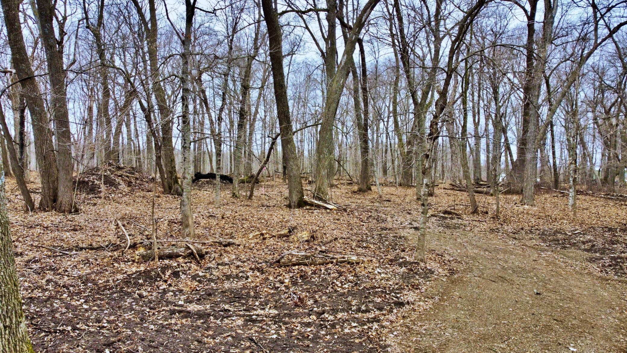 land for sale at TRACT C Linden Street in Garrison, MN (photo 20 of 20)