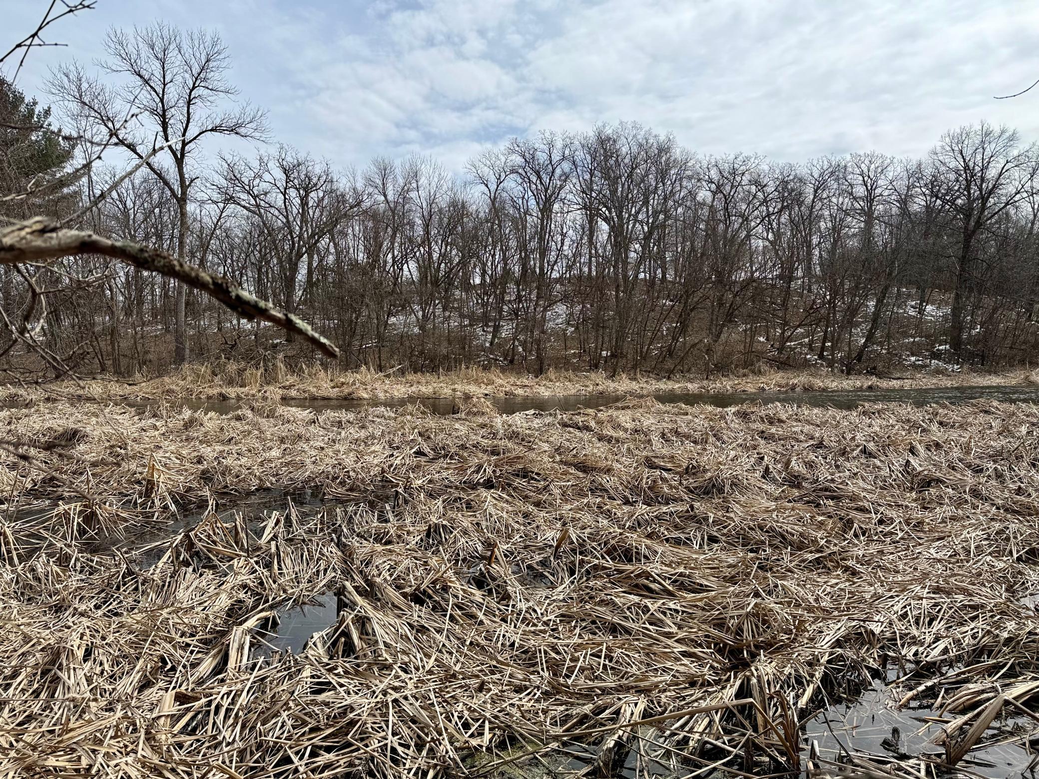 land for sale at TBD Basswood Drive in Sauk Centre, MN (photo 5 of 5)
