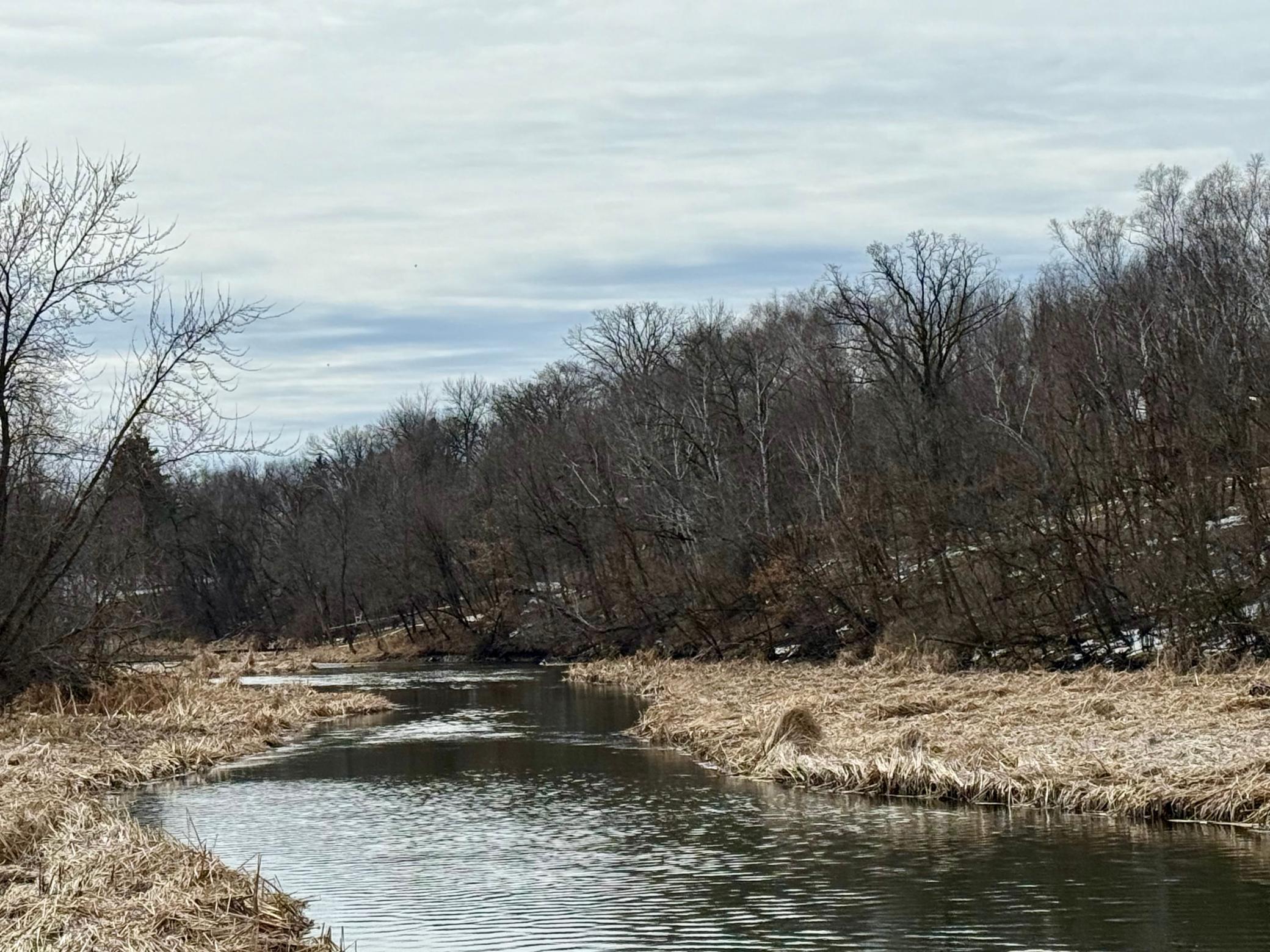 land for sale at TBD Basswood Drive in Sauk Centre, MN (photo 2 of 5)