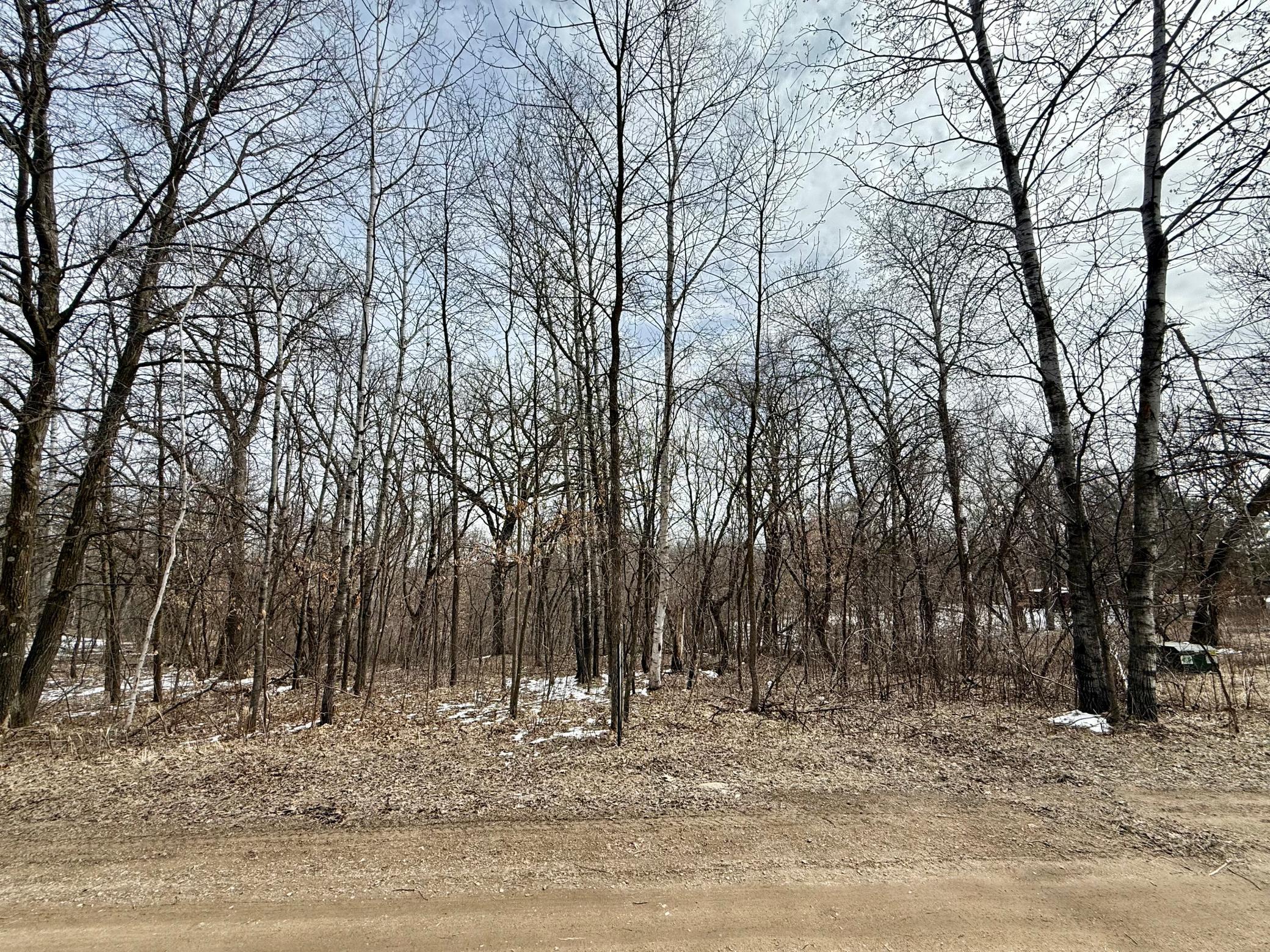 land for sale at TBD Basswood Drive in Sauk Centre, MN (photo 3 of 5)