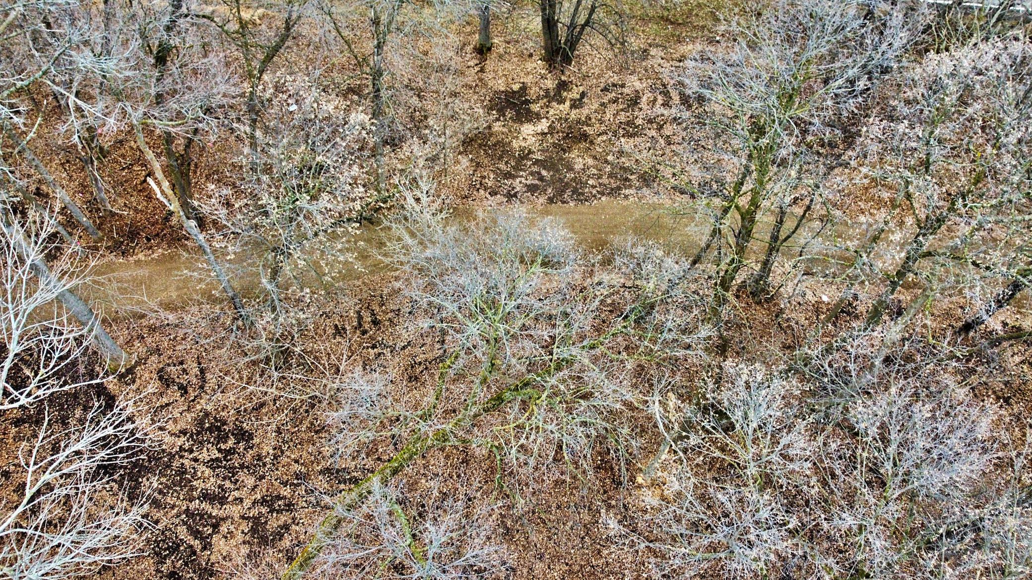 land for sale at TRACT D Linden Street in Garrison, MN (photo 11 of 20)