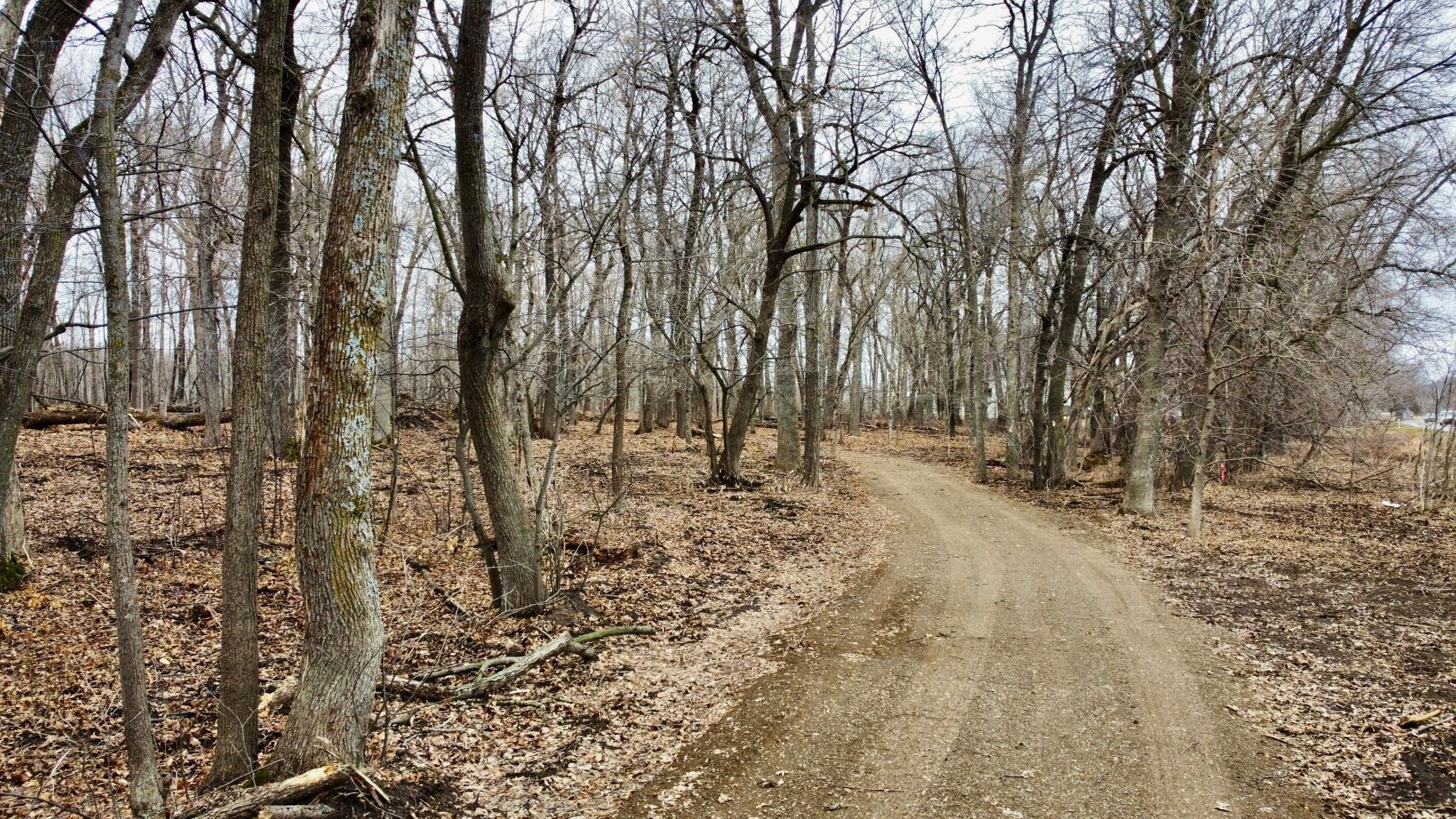 land for sale at TRACT D Linden Street in Garrison, MN (photo 14 of 20)