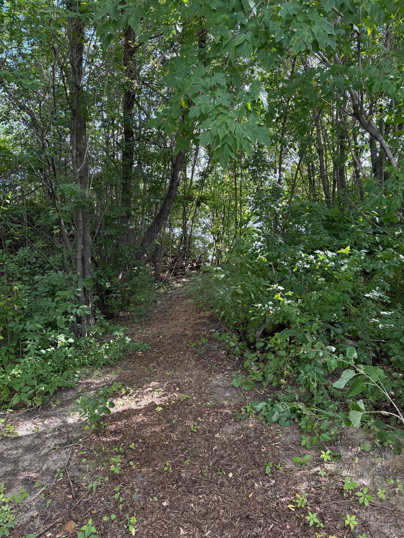 1940 single family home for sale at 1682 State Highway 11 SE in Baudette, MN — 4 bed, 5 bath (photo 43 of 48)