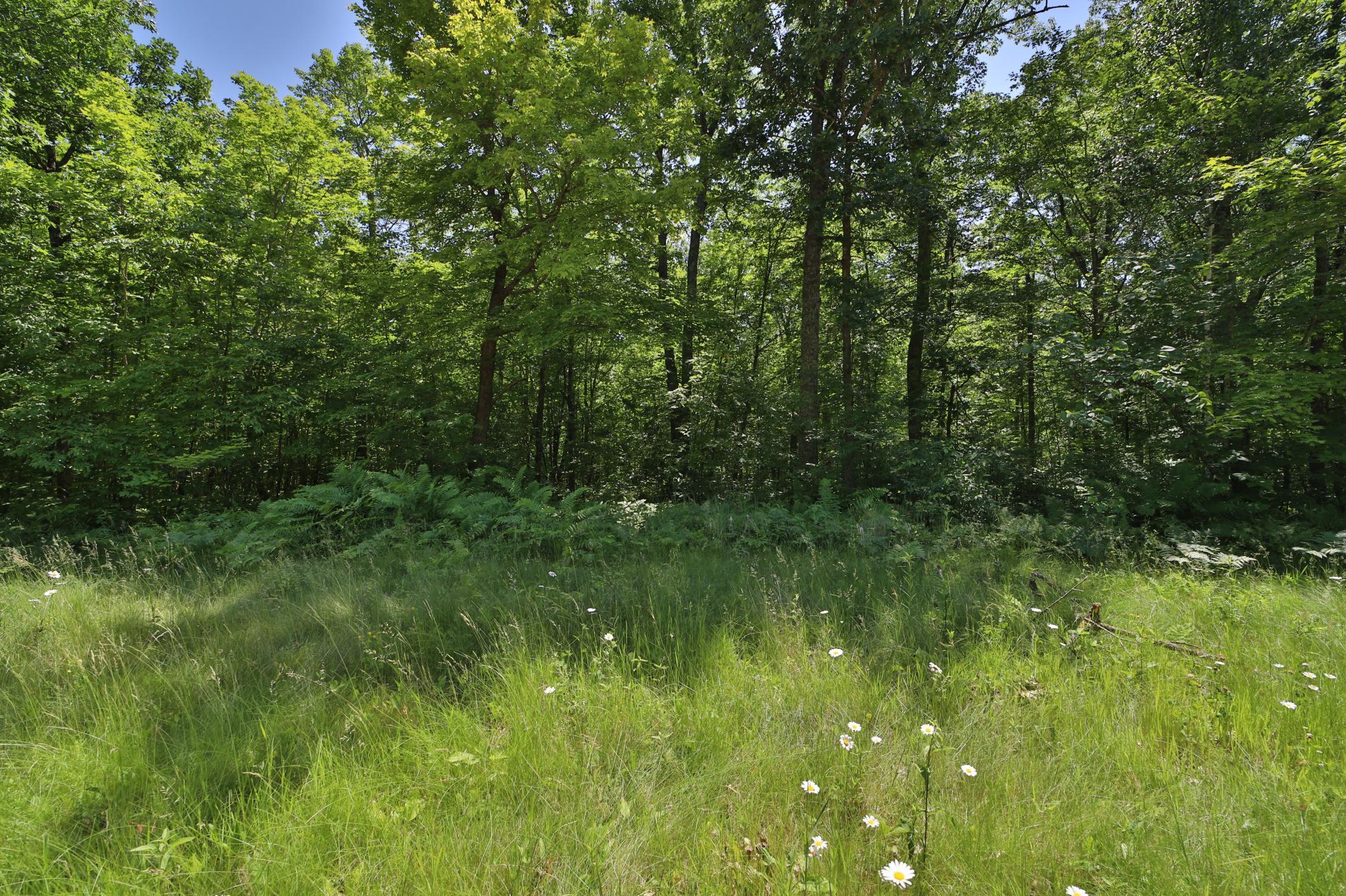 land for sale at Tract D Olander Road in Crosby, MN