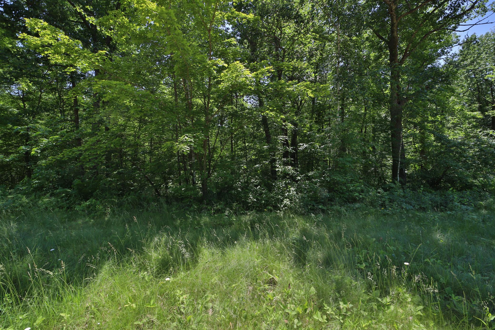 land for sale at Tract D Olander Road in Crosby, MN (photo 3 of 11)