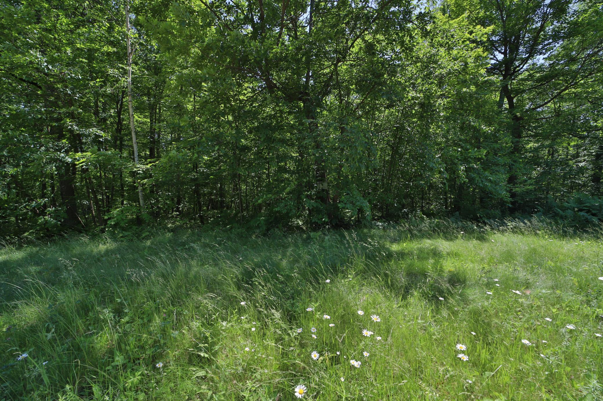 land for sale at Tract D Olander Road in Crosby, MN (photo 5 of 11)