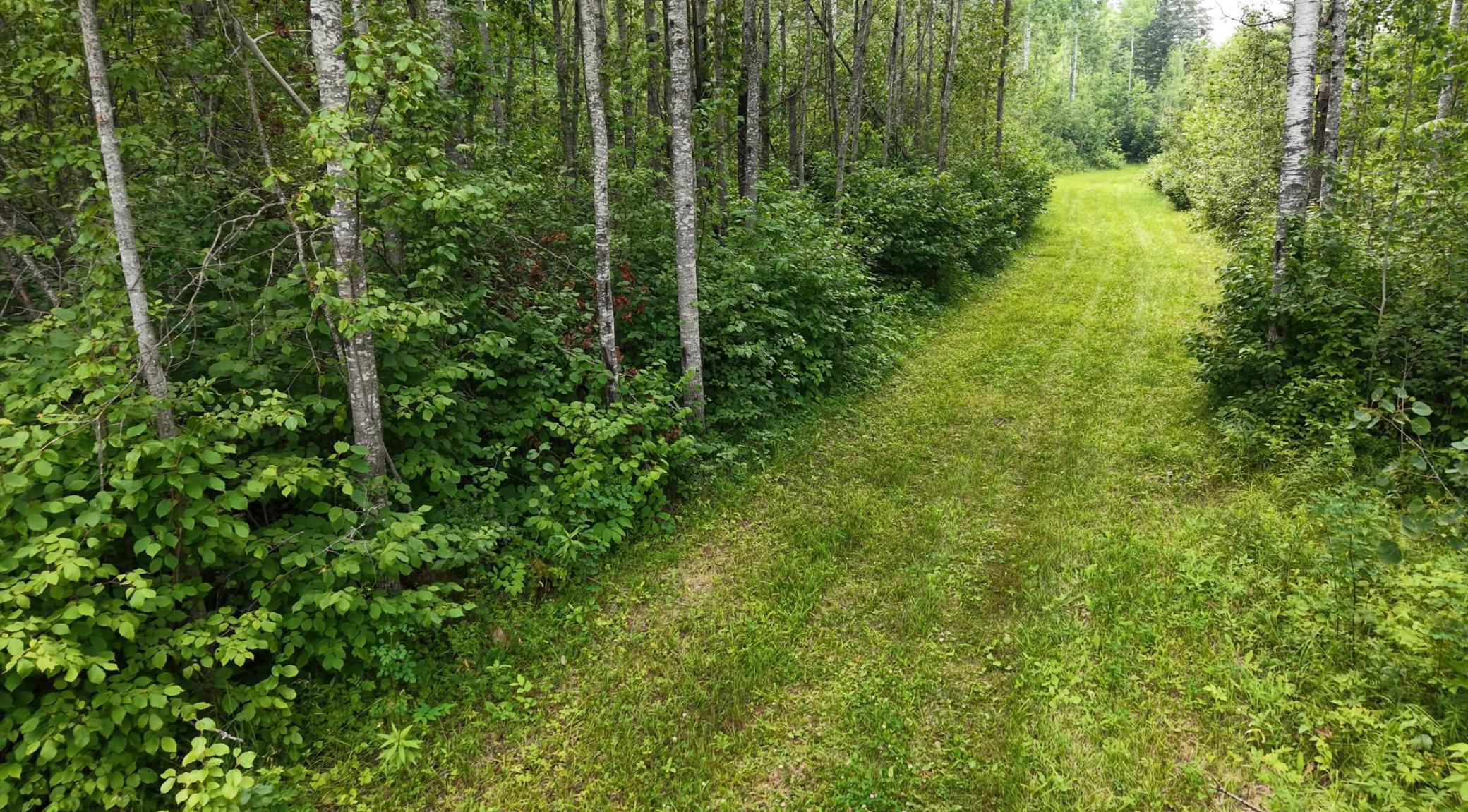 2017 single family home for sale at TBD Tangnes Forest Road in Roosevelt, MN — 2 bed, 1 bath (photo 10 of 16)