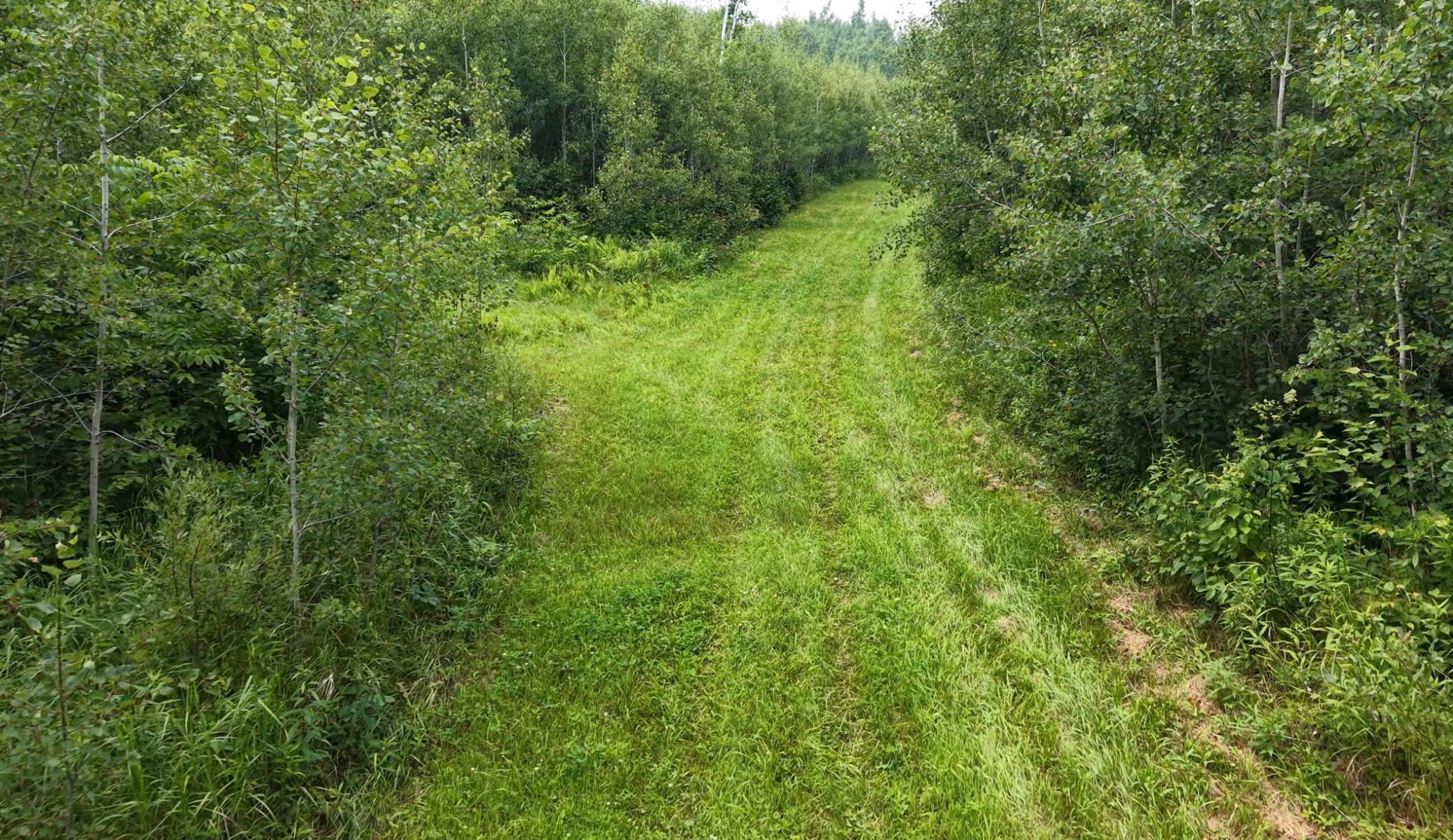 2017 single family home for sale at TBD Tangnes Forest Road in Roosevelt, MN — 2 bed, 1 bath (photo 11 of 16)
