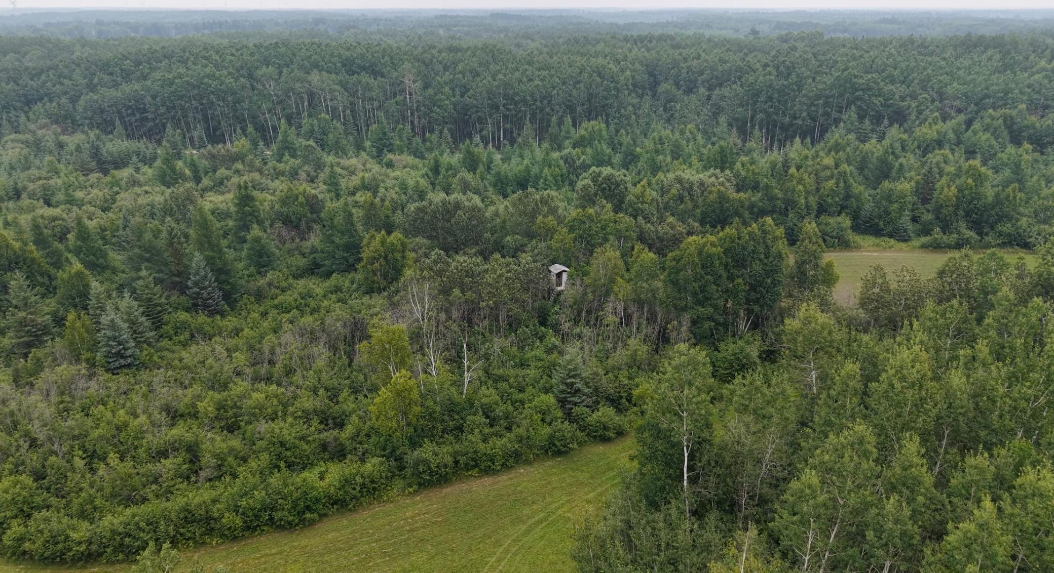 2017 single family home for sale at TBD Tangnes Forest Road in Roosevelt, MN — 2 bed, 1 bath (photo 12 of 16)