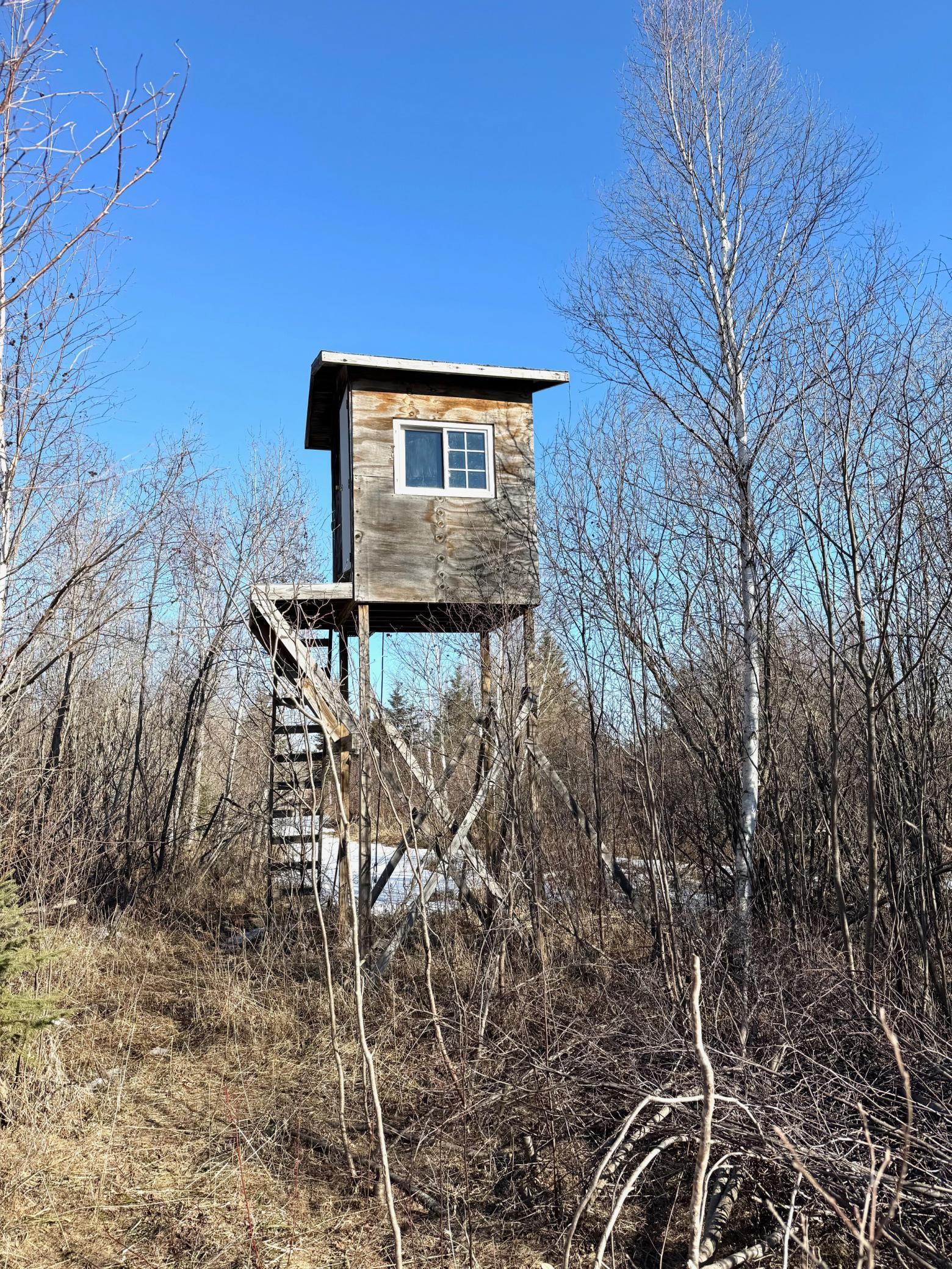 2017 single family home for sale at TBD Tangnes Forest Road in Roosevelt, MN — 2 bed, 1 bath (photo 13 of 16)