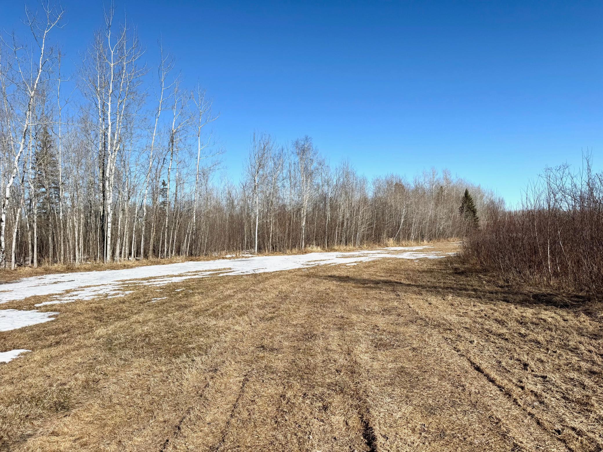 2017 single family home for sale at TBD Tangnes Forest Road in Roosevelt, MN — 2 bed, 1 bath (photo 14 of 16)