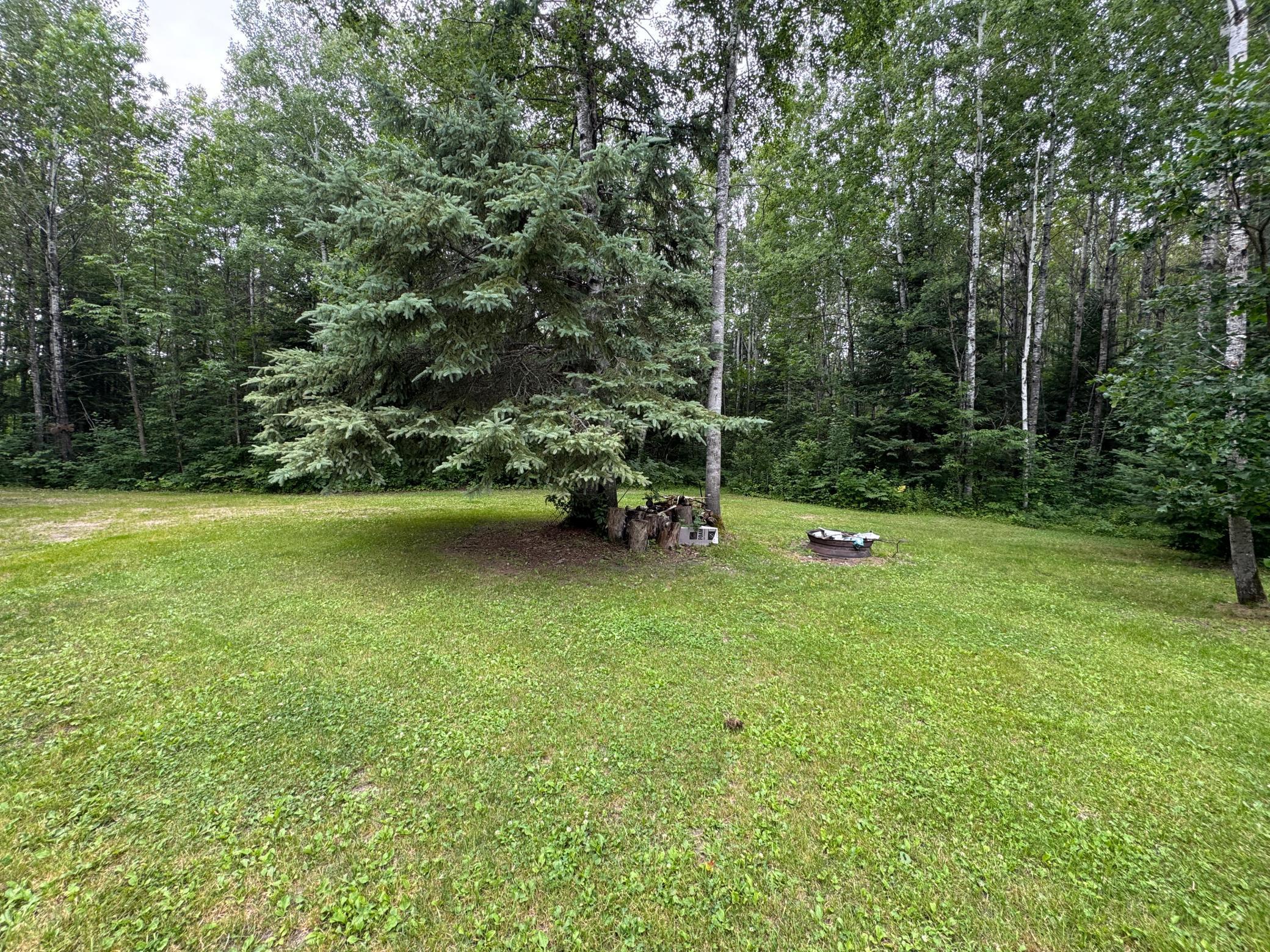 2017 single family home for sale at TBD Tangnes Forest Road in Roosevelt, MN — 2 bed, 1 bath (photo 3 of 16)