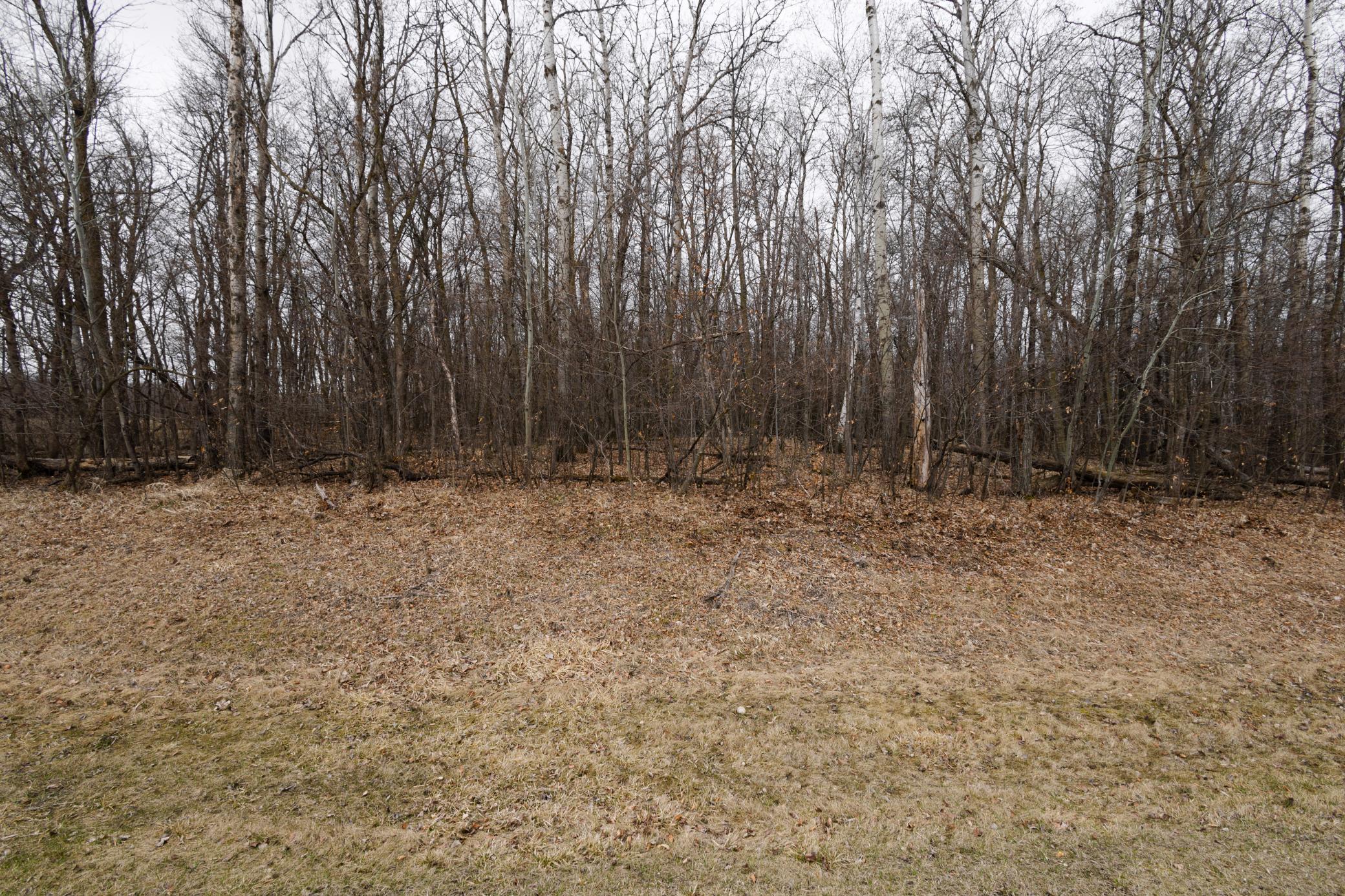 Lot 3 Saylers Beach Road, Lake Park MN 56554 - Photo 2 of 10