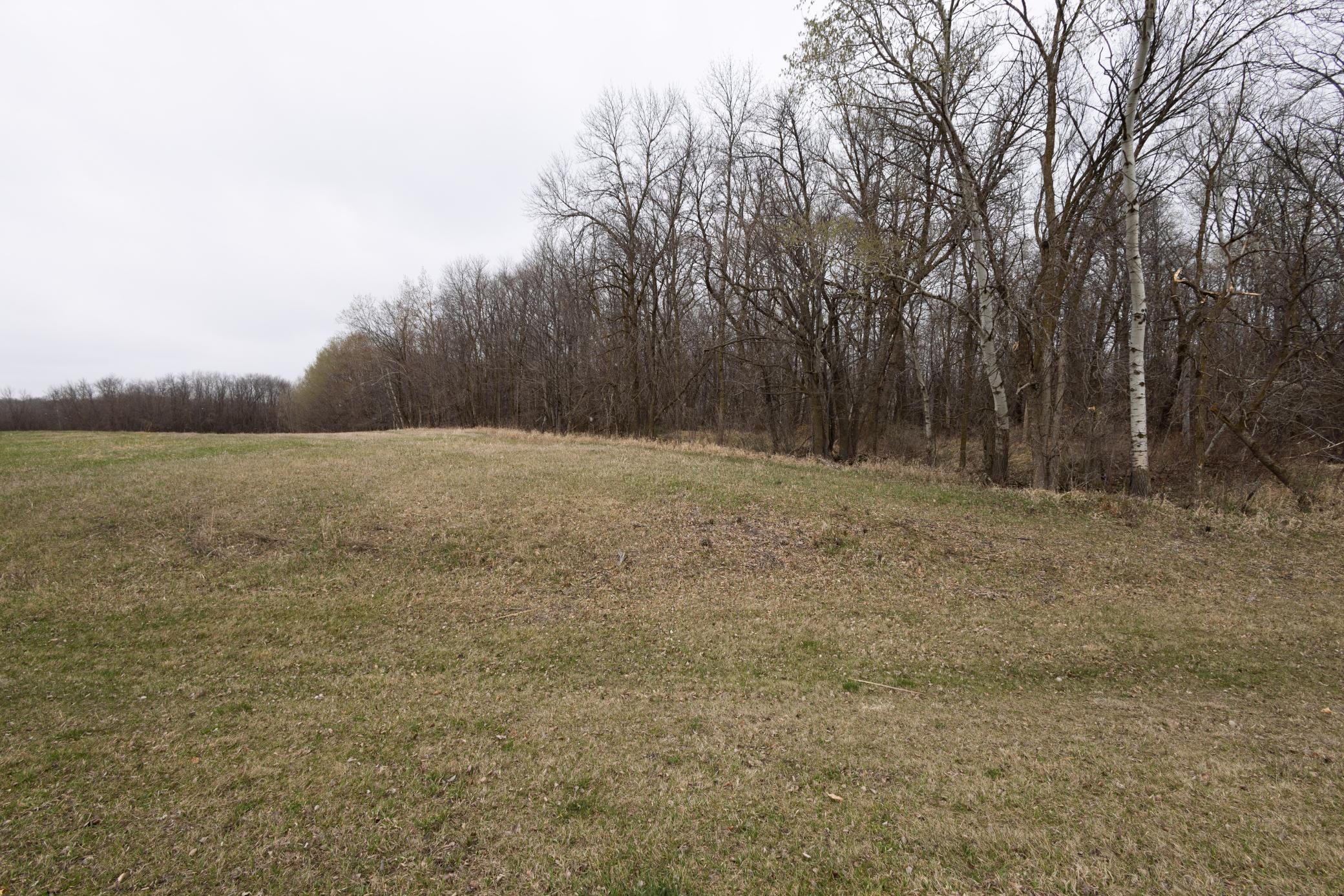 Lot 4 Saylers Beach Road, Lake Park MN 56554 - Photo 4 of 9