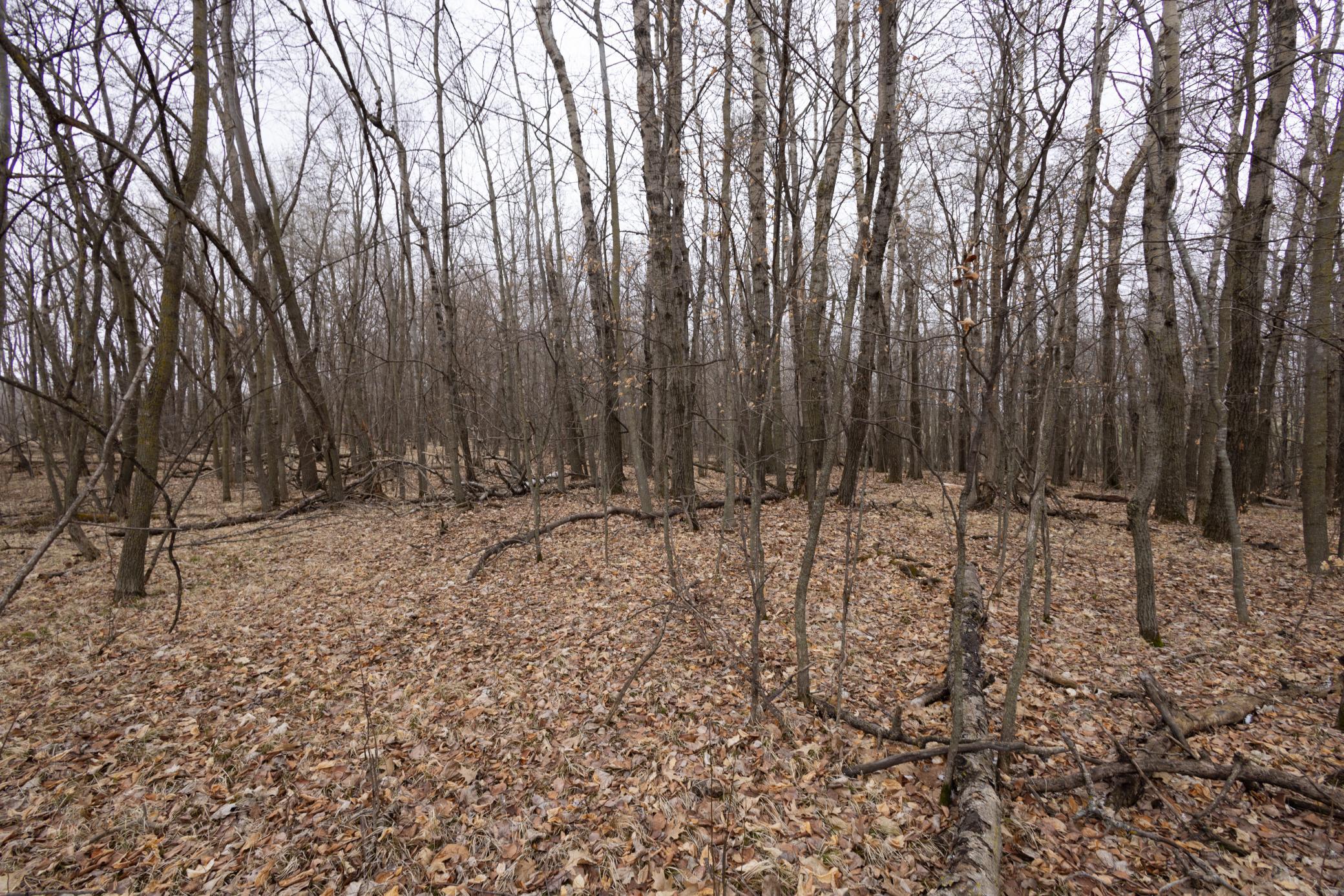 Lot 4 Saylers Beach Road, Lake Park MN 56554 - Photo 5 of 9