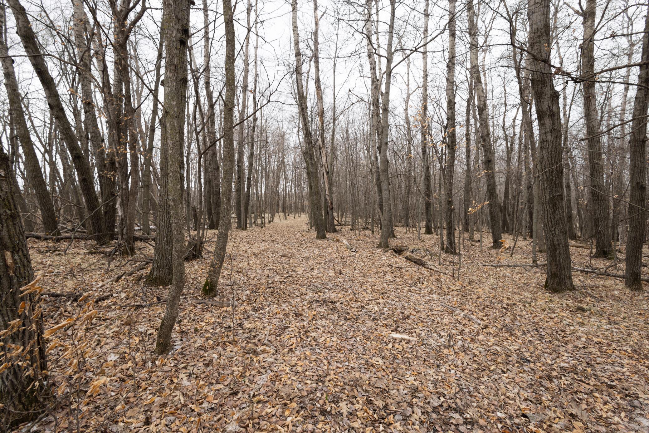 Lot 4 Saylers Beach Road, Lake Park MN 56554 - Photo 6 of 9