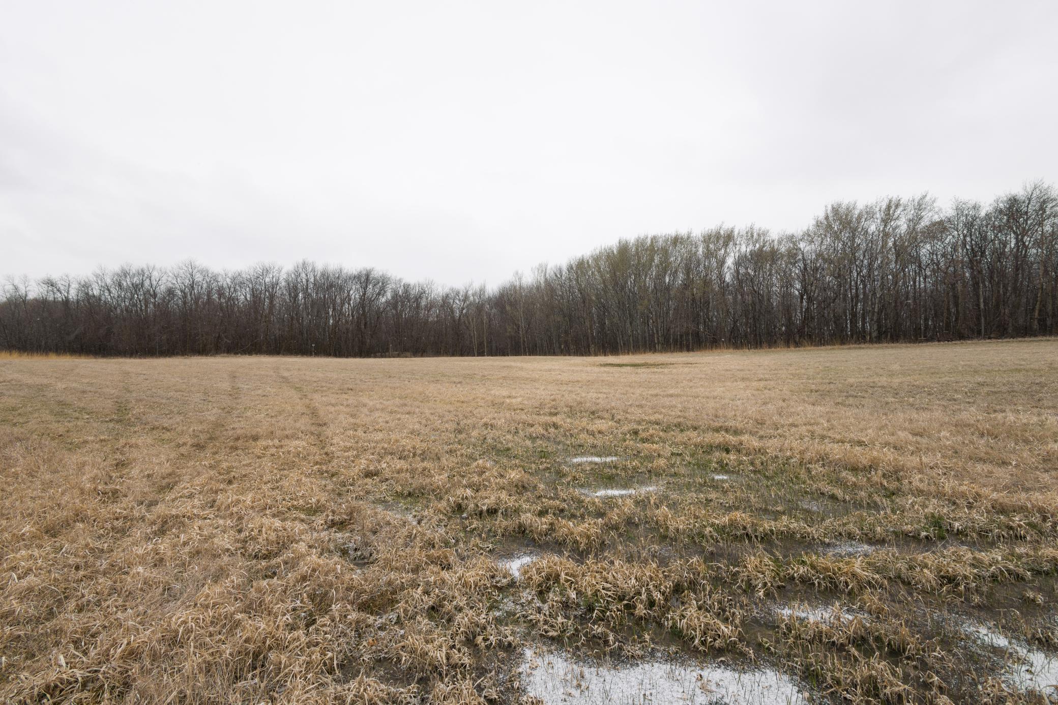Lot 6 Saylers Beach Road, Lake Park MN 56554 - Photo 3 of 7